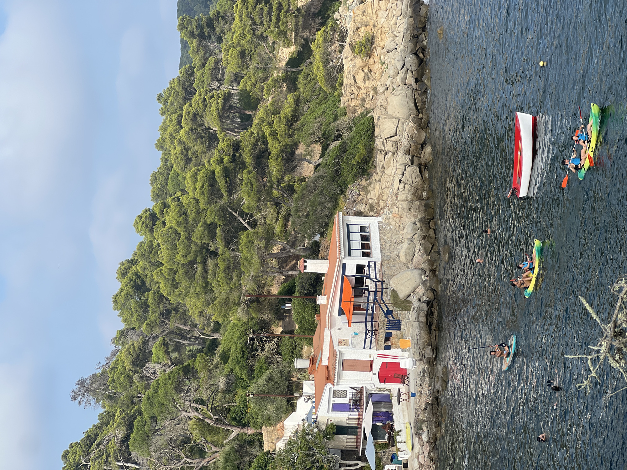 Palamós coastline: beaches, boats, and pine-covered cliffs on a sunny afternoon