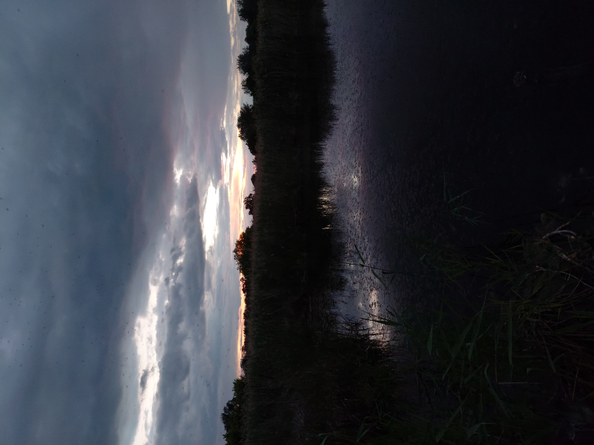 Storm clouds gather over marshy lake in Ustyvytsia, Ukraine