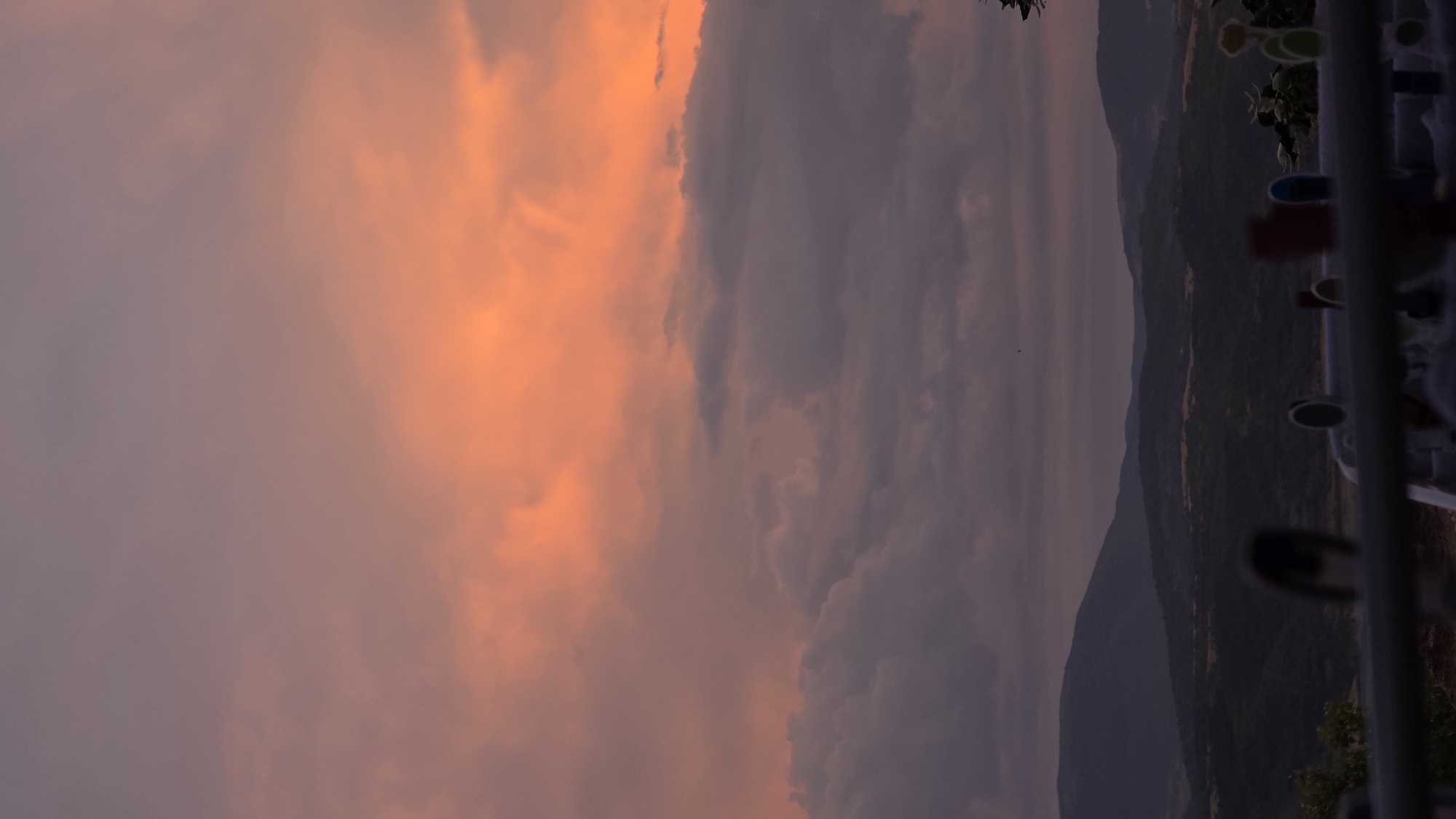 Baby moments, costumed dog, sunset captured in Blagoevgrad evening