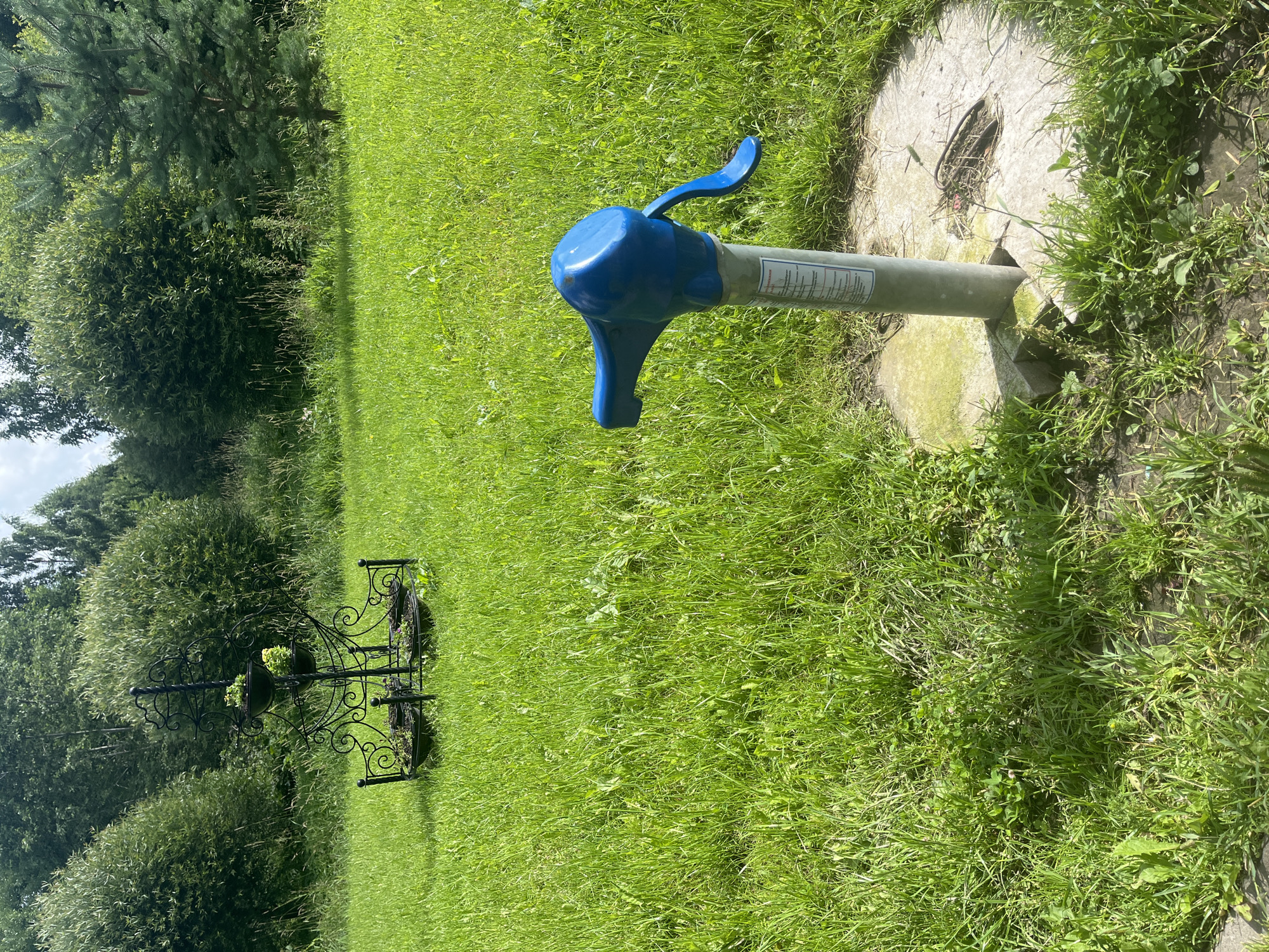 Backyard details in Tyarlevo on a summer morning
