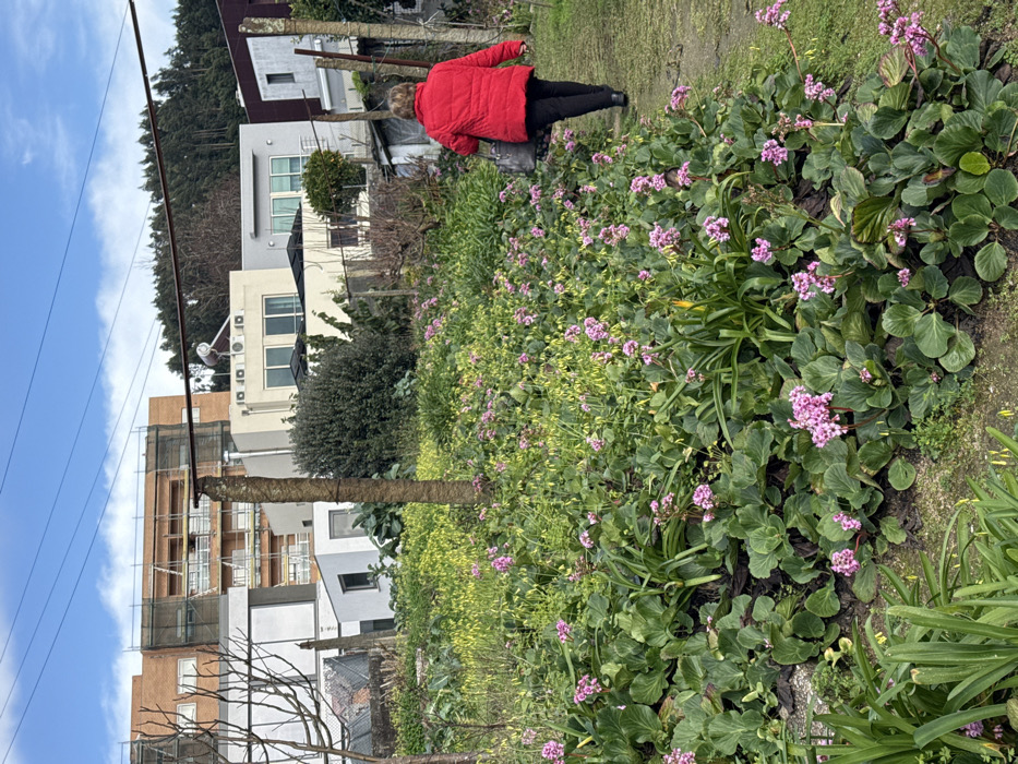 Quiet winter afternoon in Portuguese residential garden