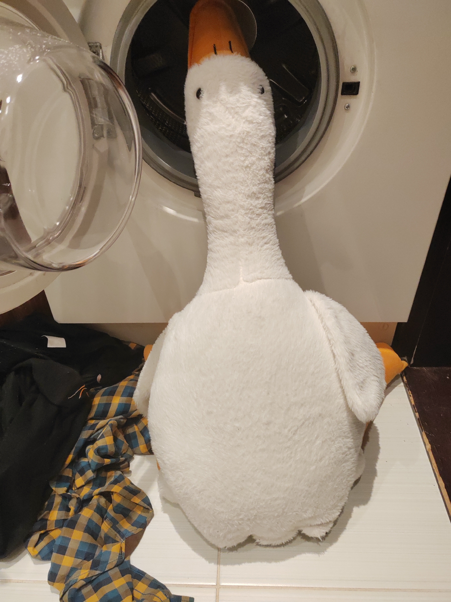 Plush goose toy photographed in household locations across Kemerovo apartment