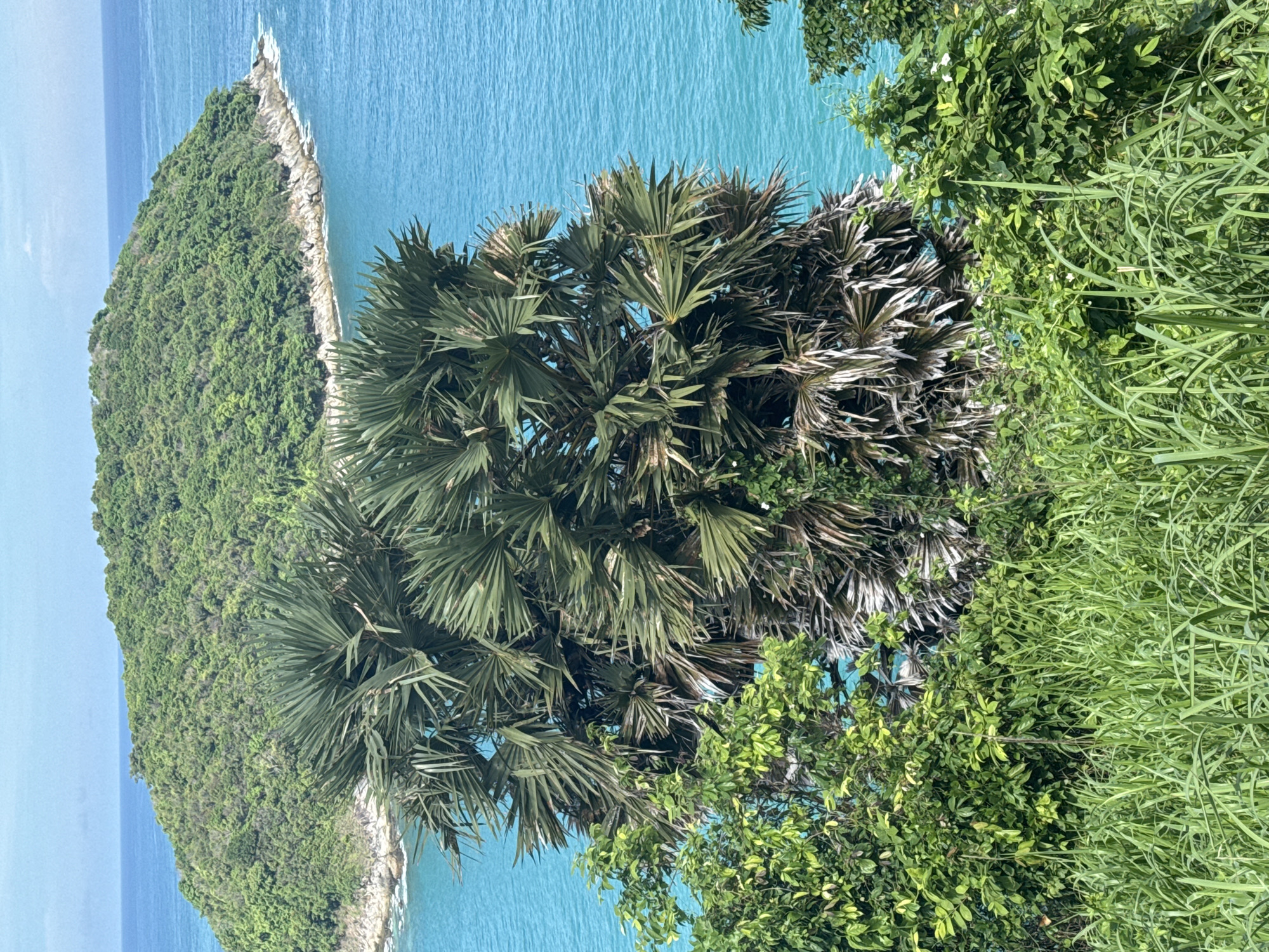 Tourist documents scenic Rawai coastline views during morning visit