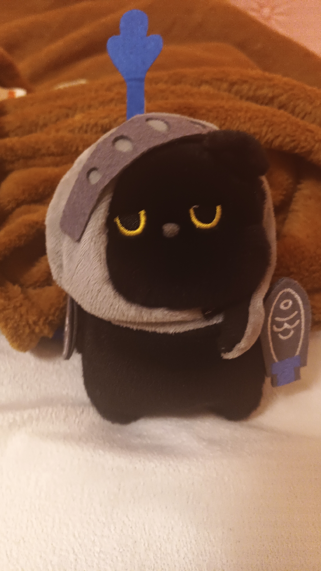Black plush toy photographed in Karnobat, Bulgaria