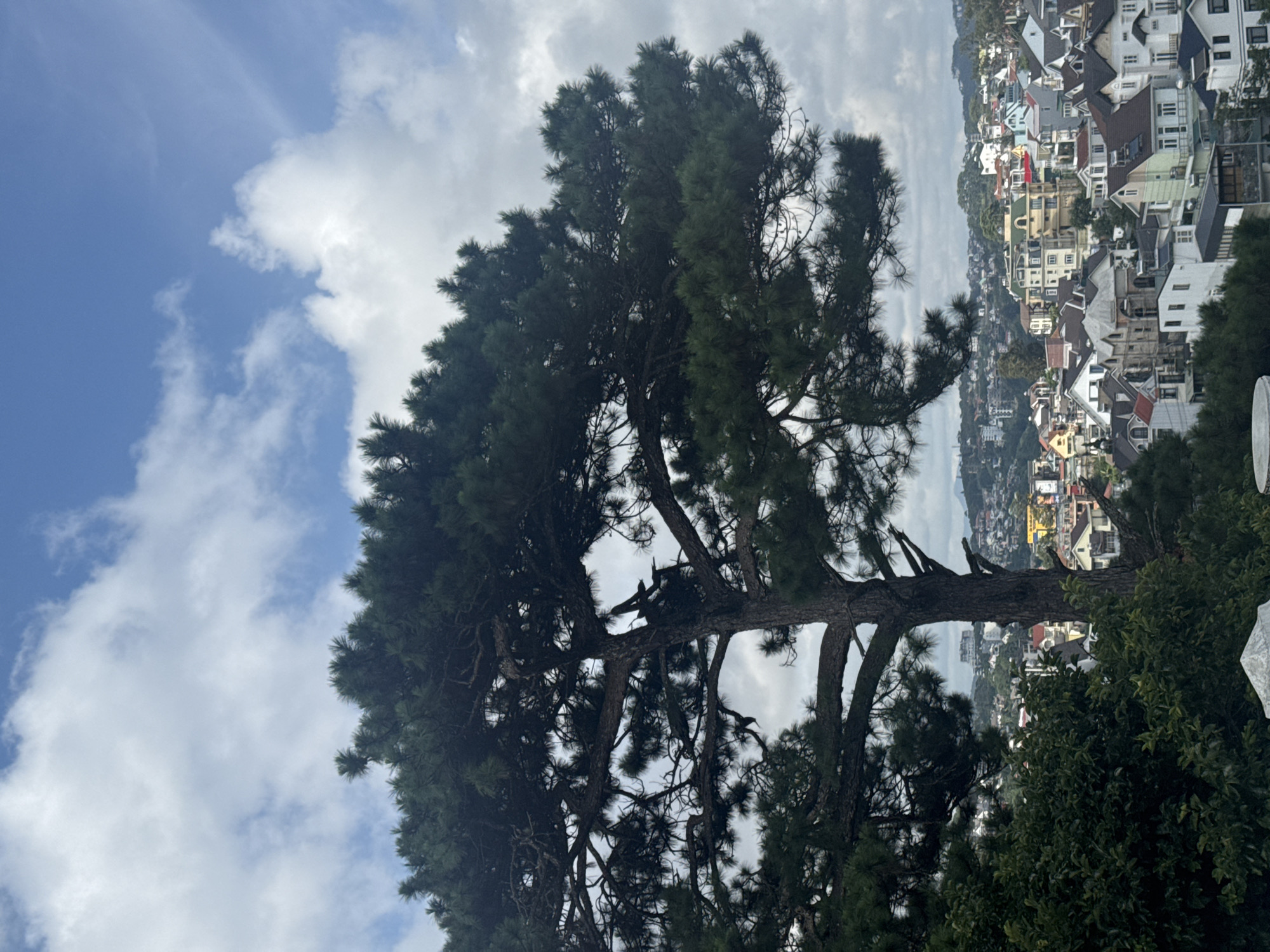 Tourist documents Da Lat's scenic architecture and landscapes