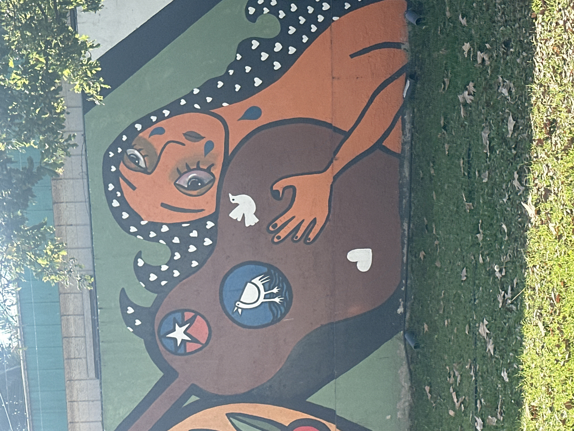 Santiago street art, signage, and stadium documented during afternoon tour