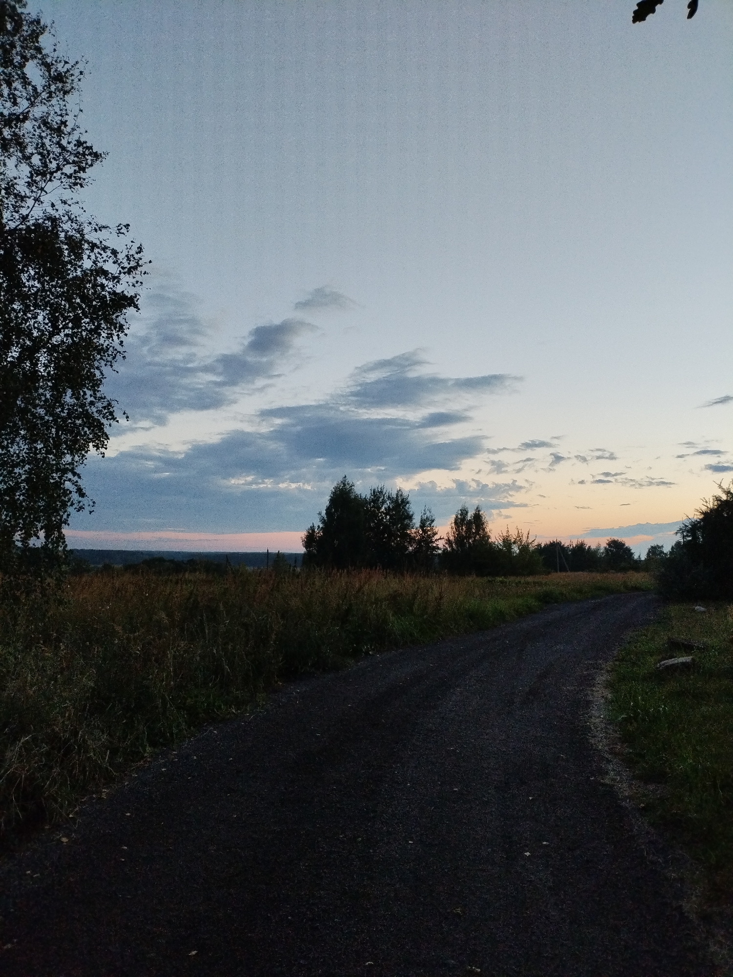 Late summer rural scene: roads, acorns, and grazing horses in Belarus