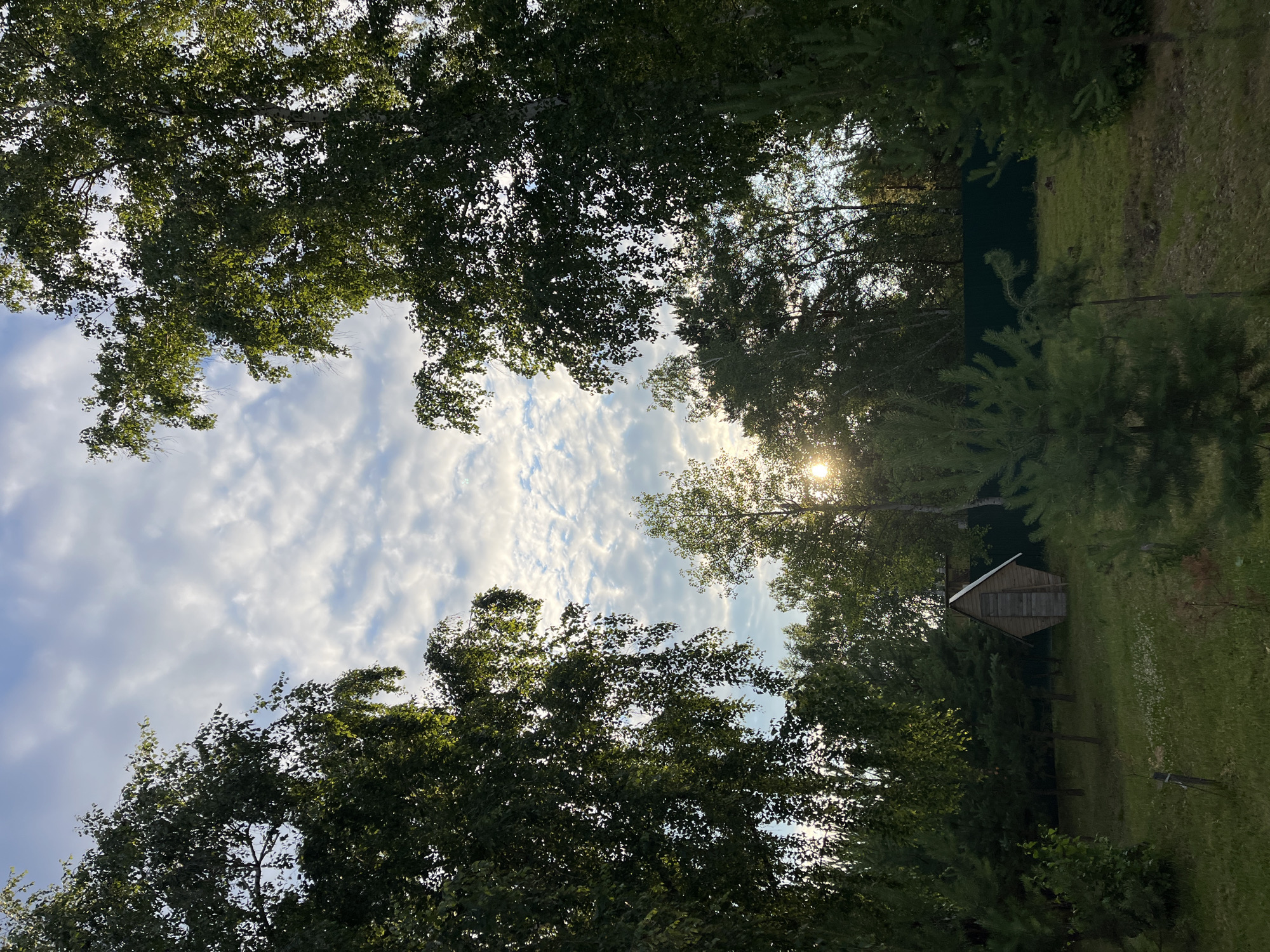 Sky and trees through multiple angles in Krasnoturansk