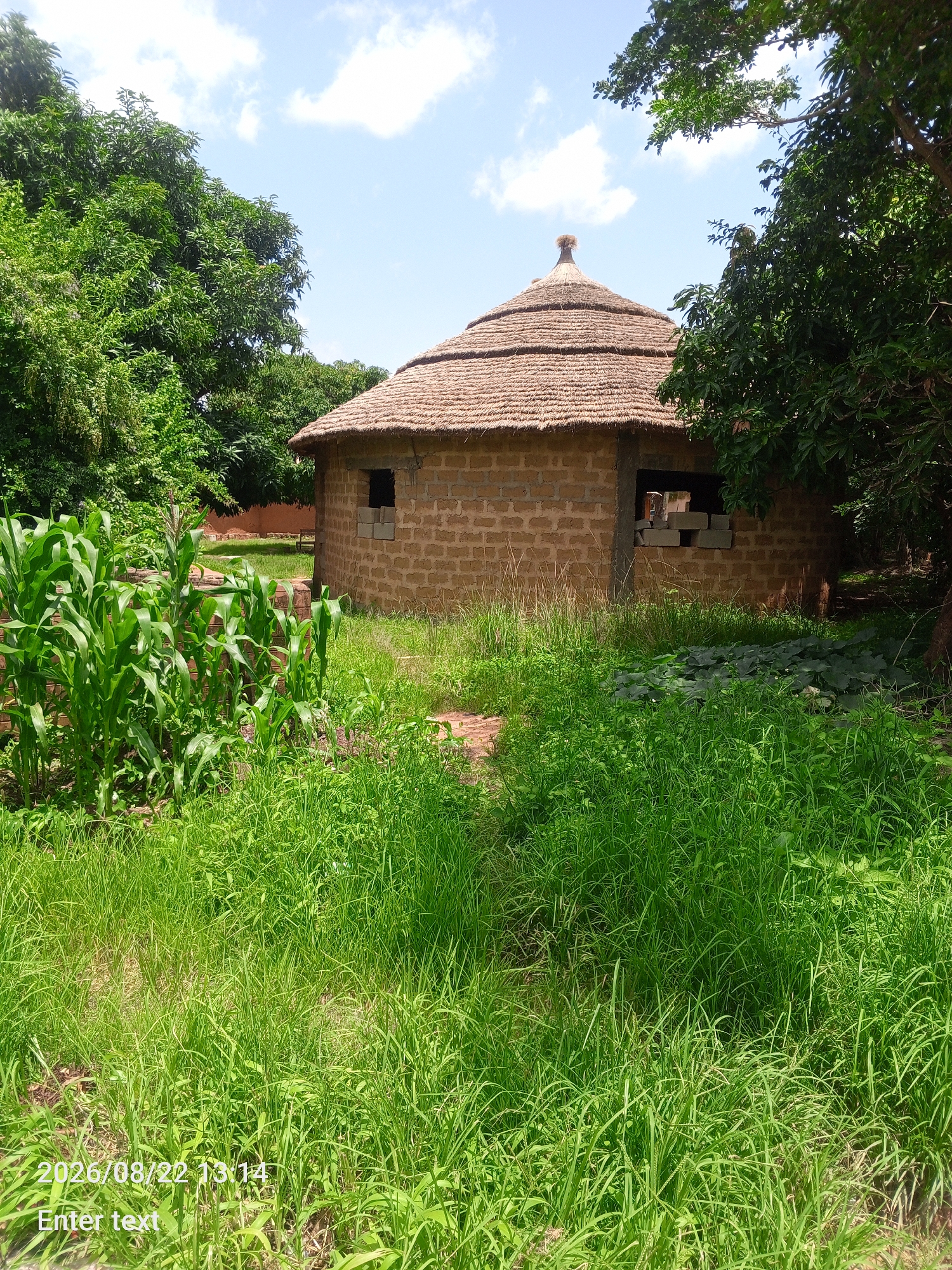 Thatched brick building and tied sheep in Jos, Nigeria