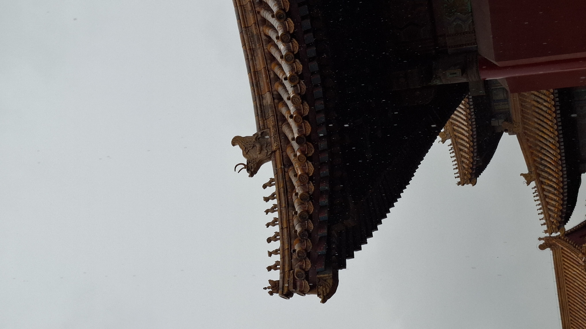 Early morning documentation of Forbidden City architecture during rainfall