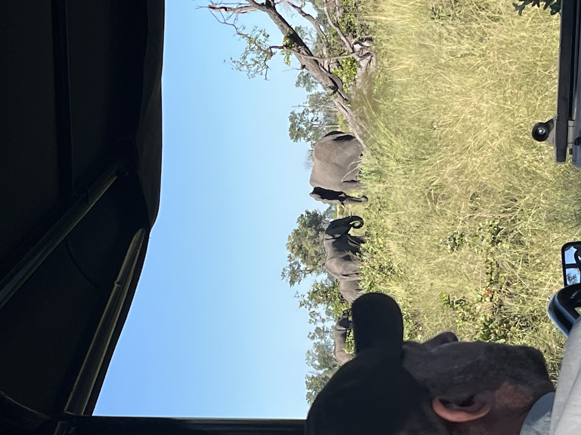 Safari tourists observe elephants grazing in Khwai, Botswana