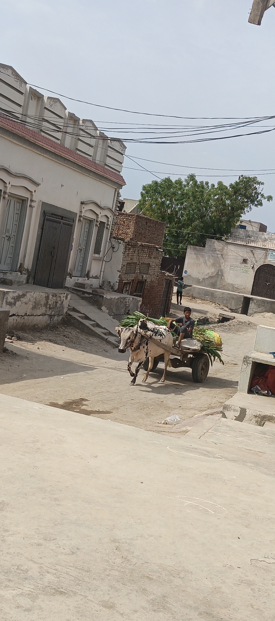 Daily life unfolds on dusty streets of Karamsar village