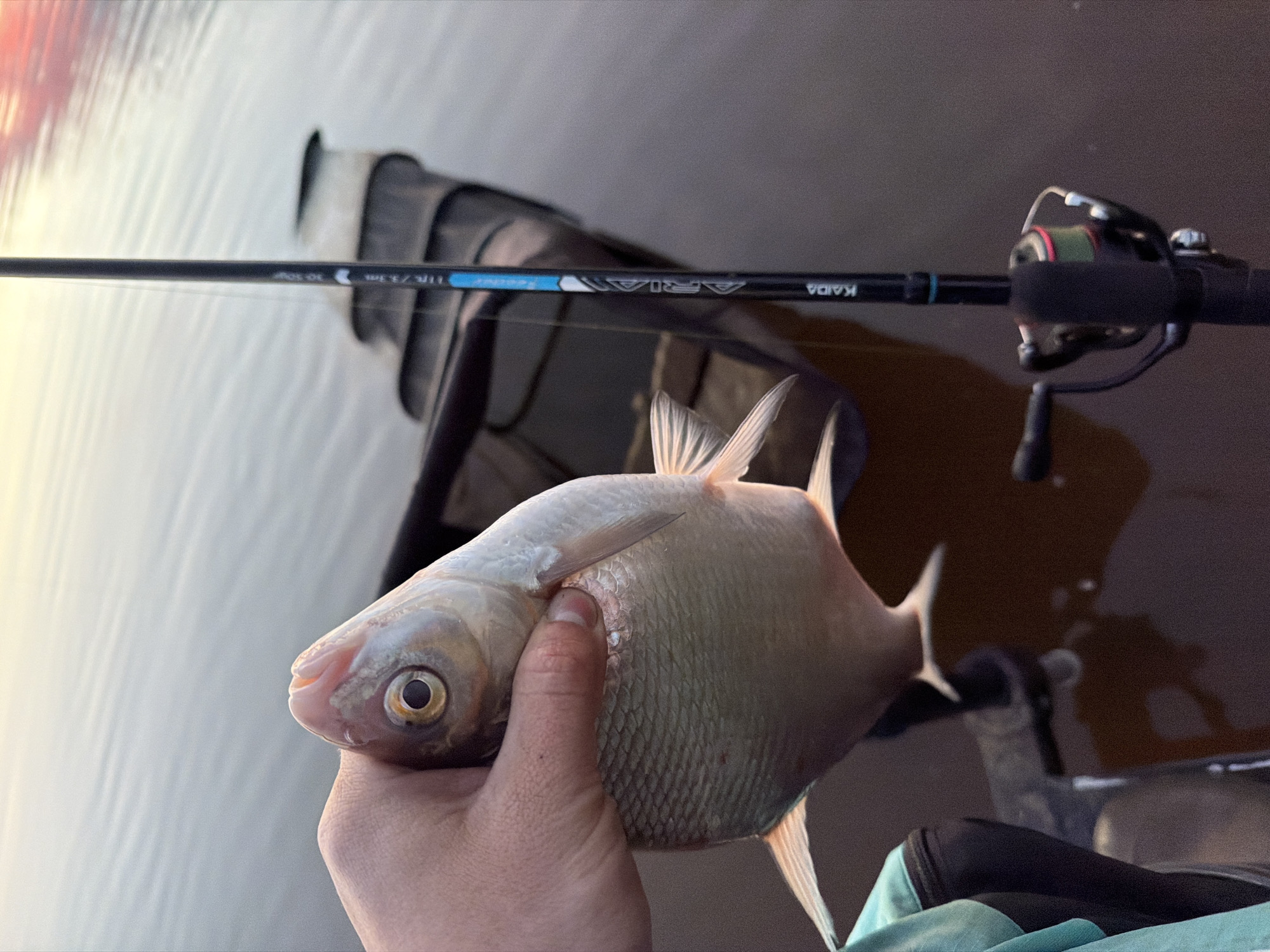 Angler catches silver fish in Chaikovsky, Russia