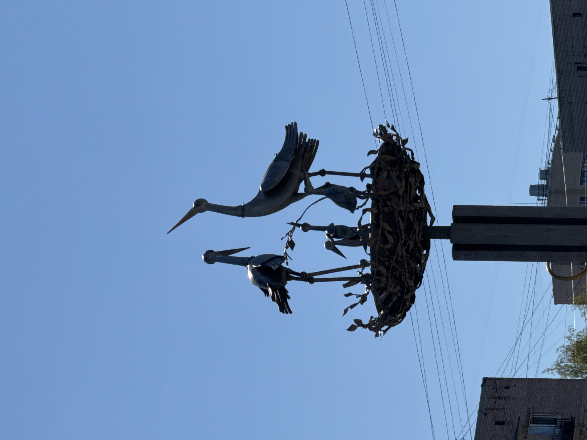 Morning scenes documented across Vsevolozhsk featuring sculptures and street life