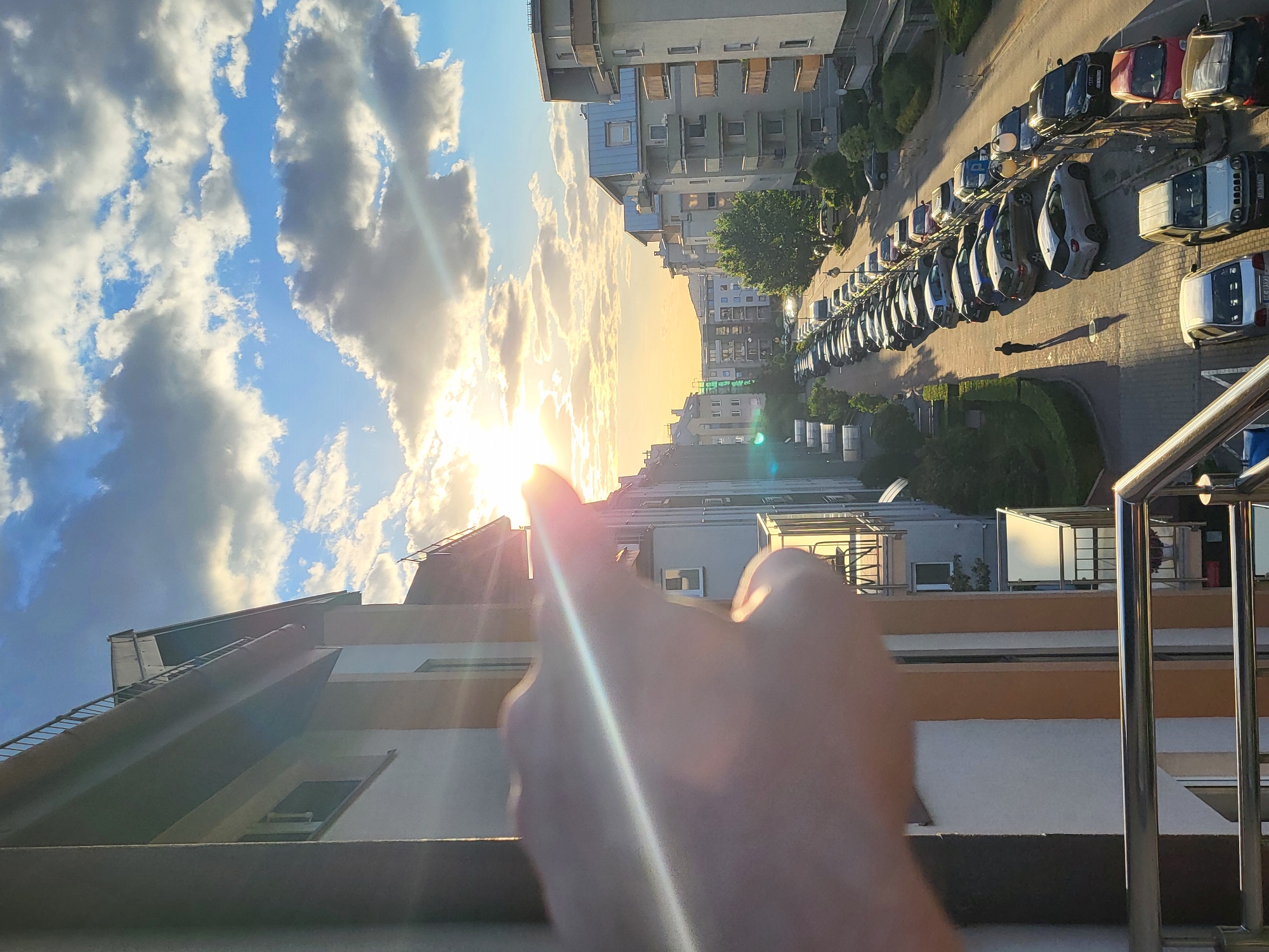 Urban afternoon: cityscape views and cat moments captured