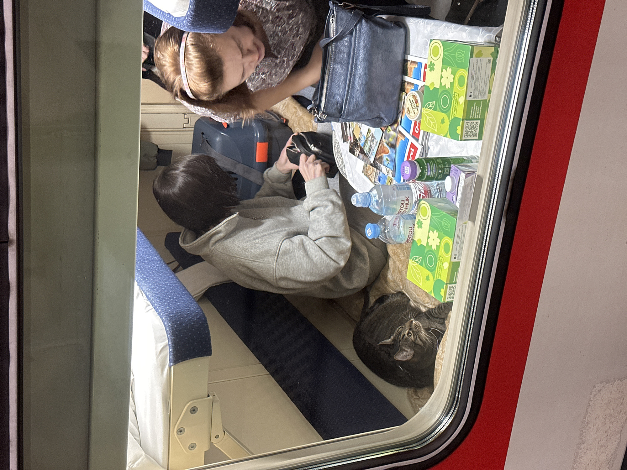 Train passengers with cat observed in Saint Petersburg compartment