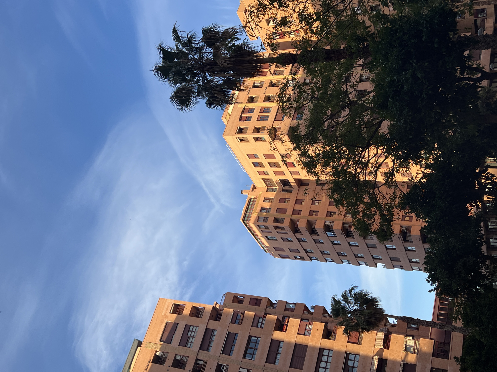Urban architecture documented in Valencia featuring palm trees
