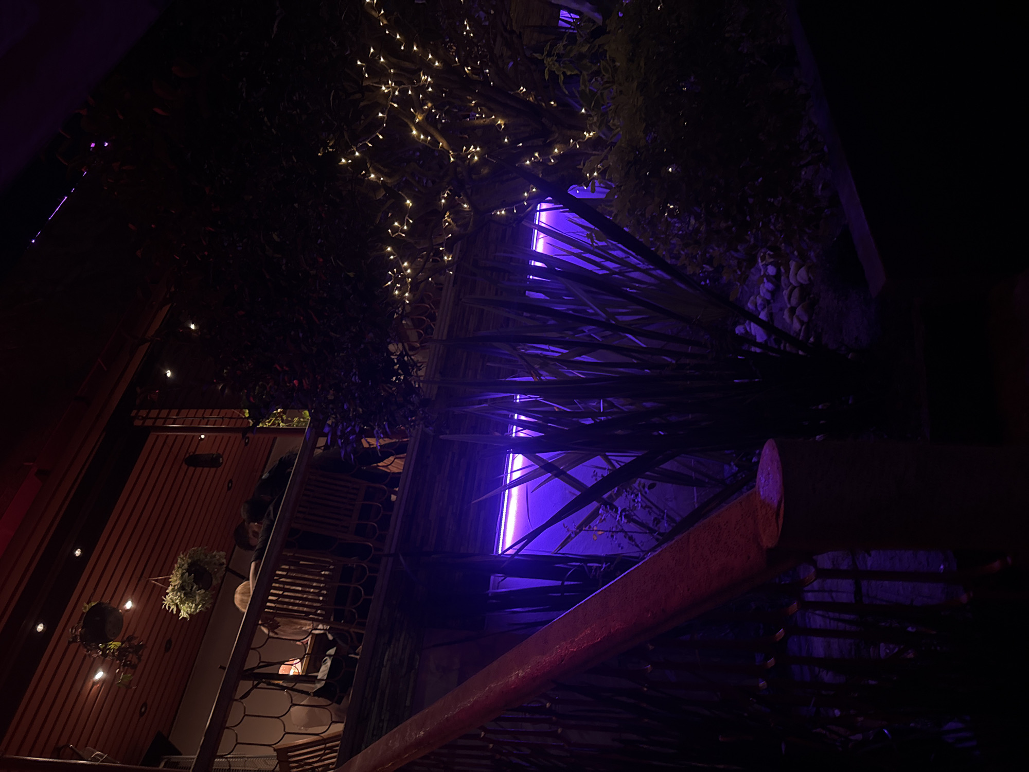 Nighttime scenes documented at BURBULA venue in Puebla, Mexico
