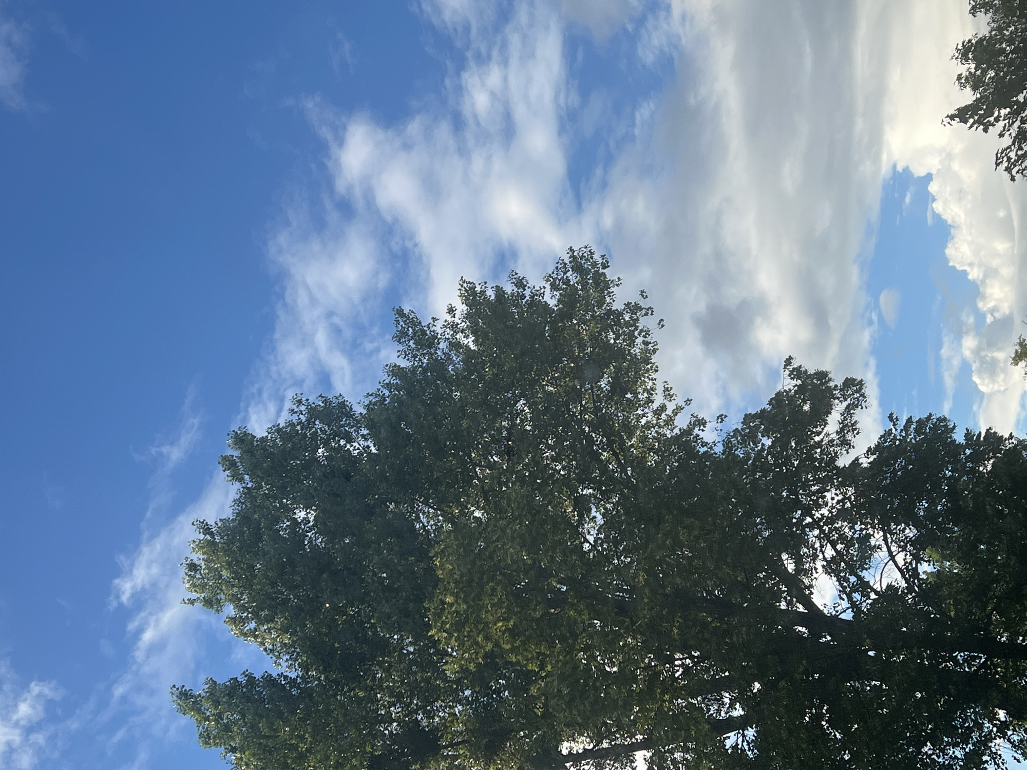 Warsaw afternoon sky-gazing gives way to dusk street scenes