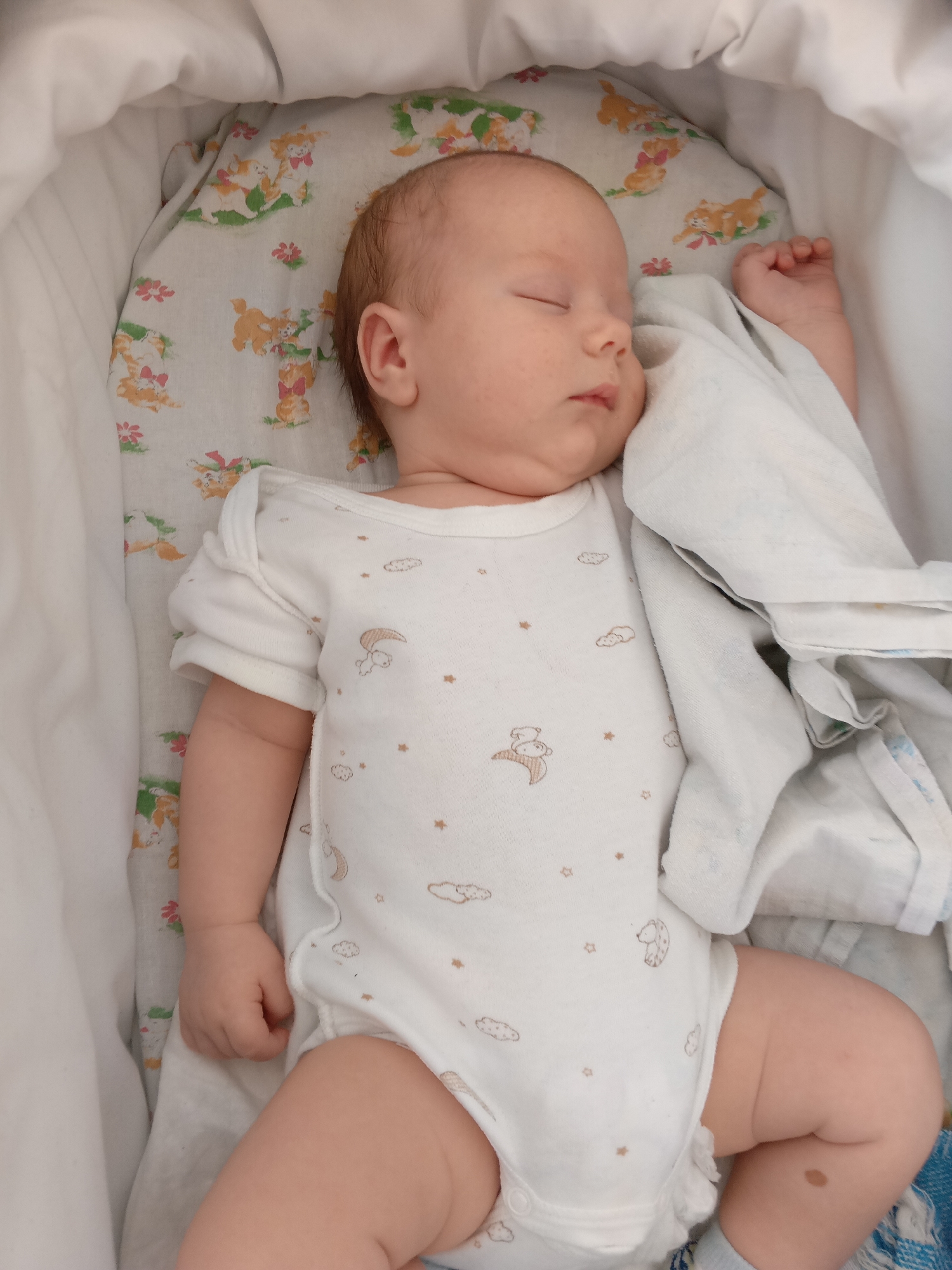 Baby sleeps peacefully in decorated bassinet in Andreyevo