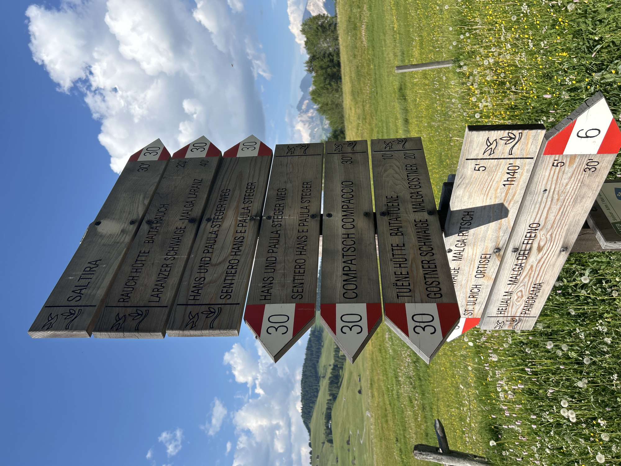 A afternoon exploring alpine meadows, forest trails, and a mountain village