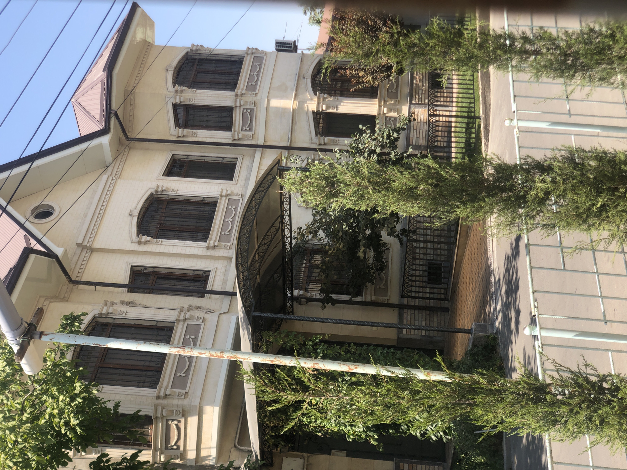 Black cat watches a Tashkent street from behind lace curtains