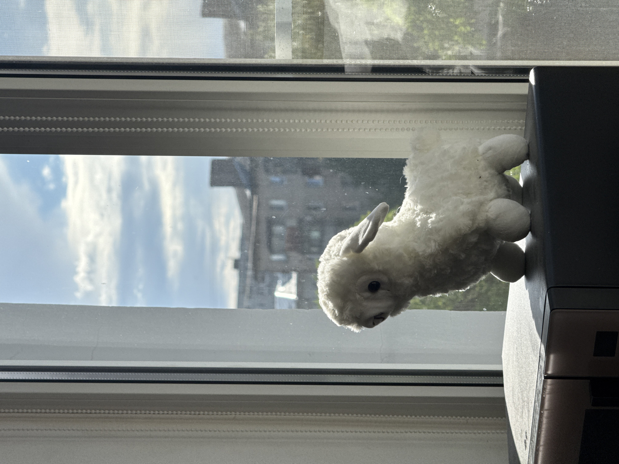 Cozy Volgograd apartment interior with windowsill decor and keepsakes