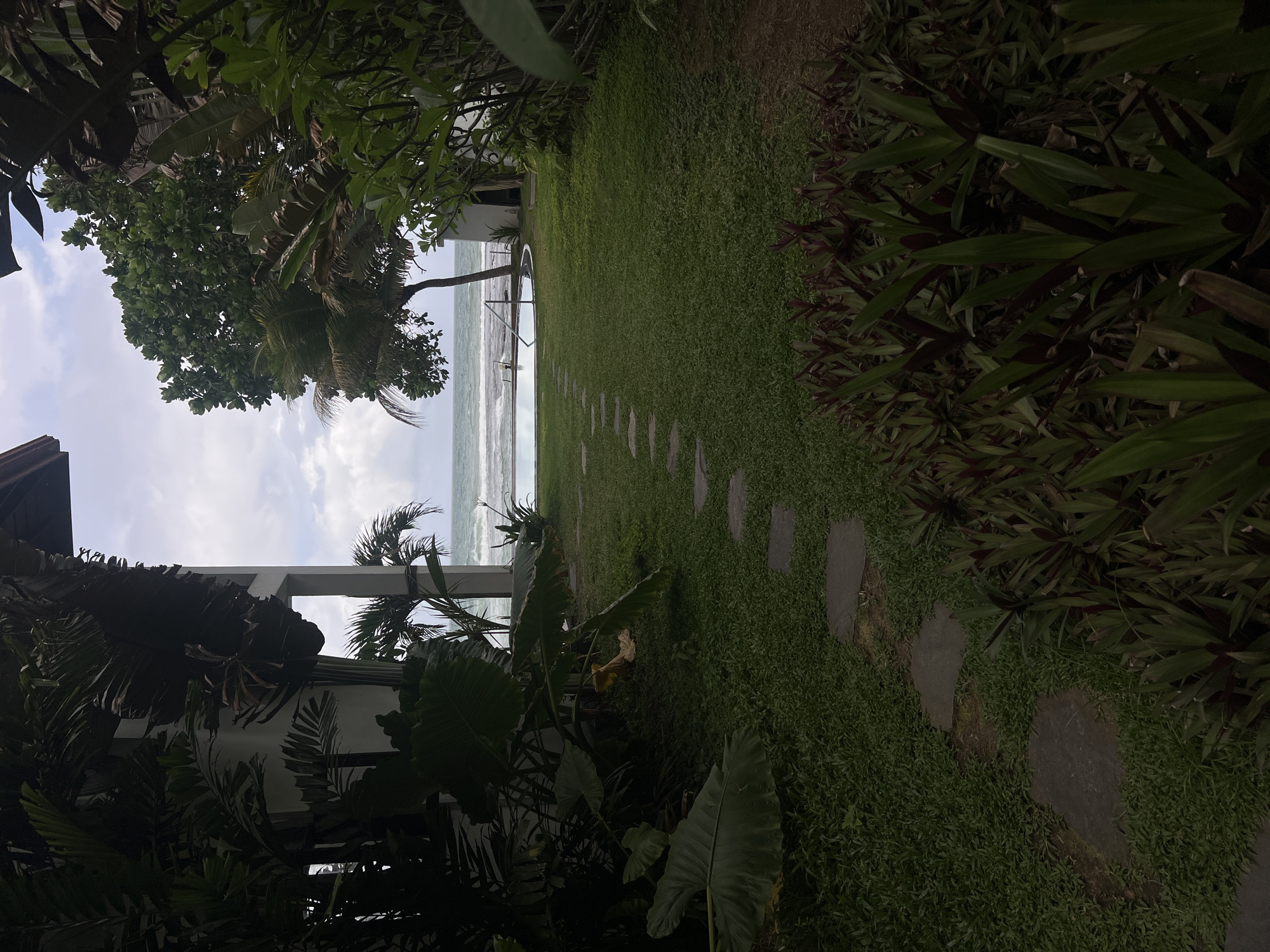 Morning coastal scenes documented across Sri Lankan villages