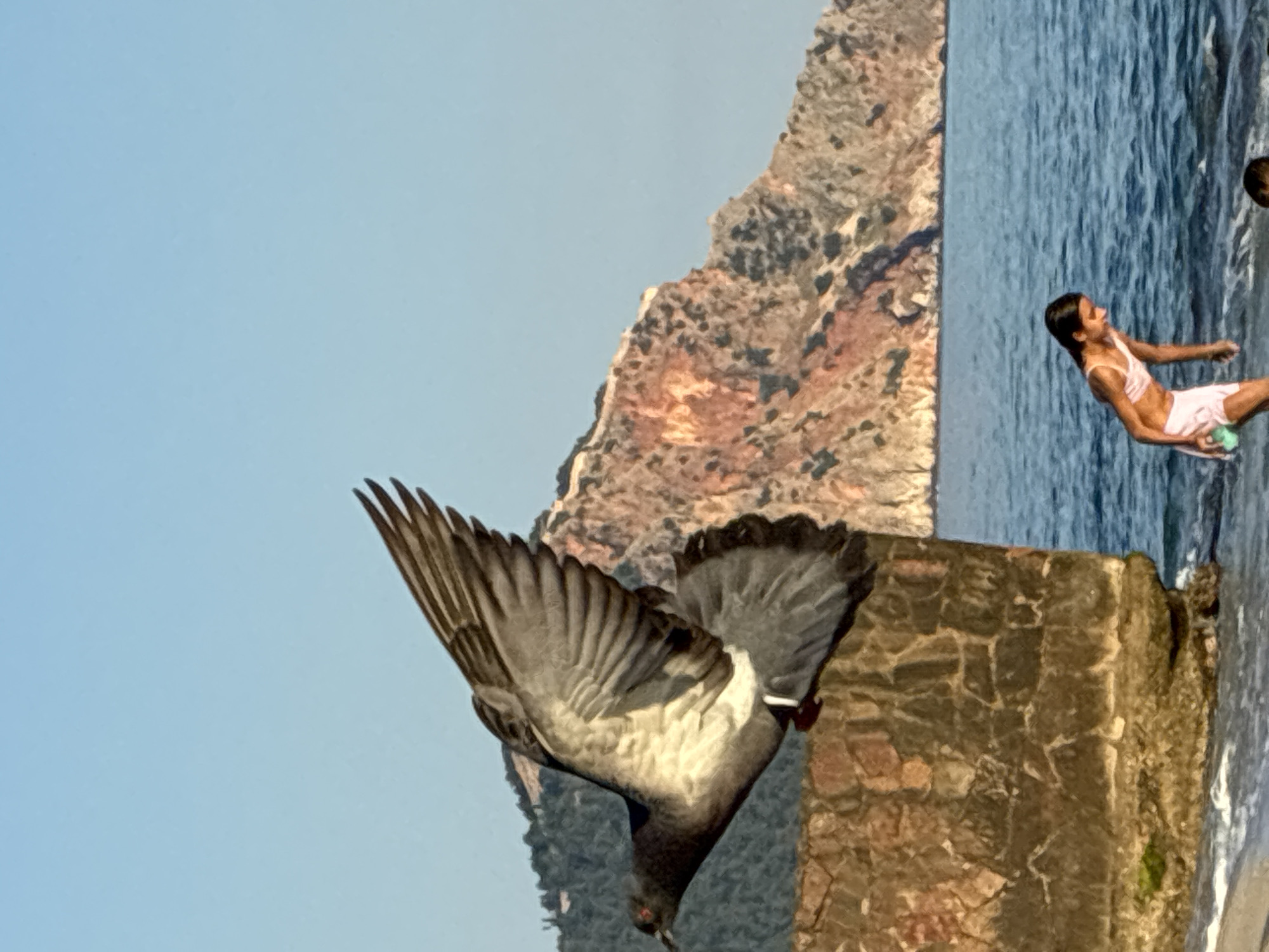 Pigeon flight and beach waves in sunny Alanya