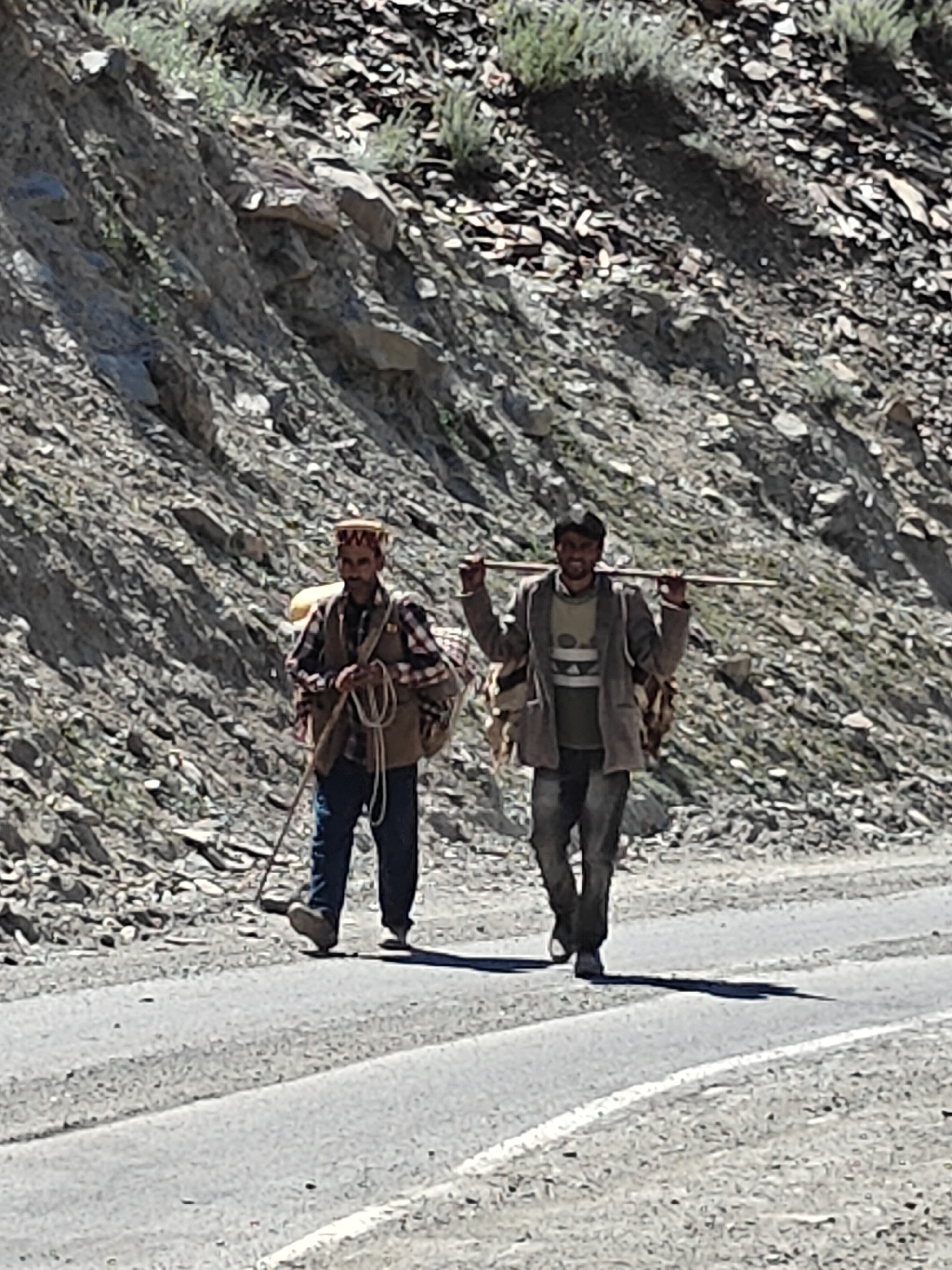 Sheep and goat herd moving through Kukumseri mountain roads