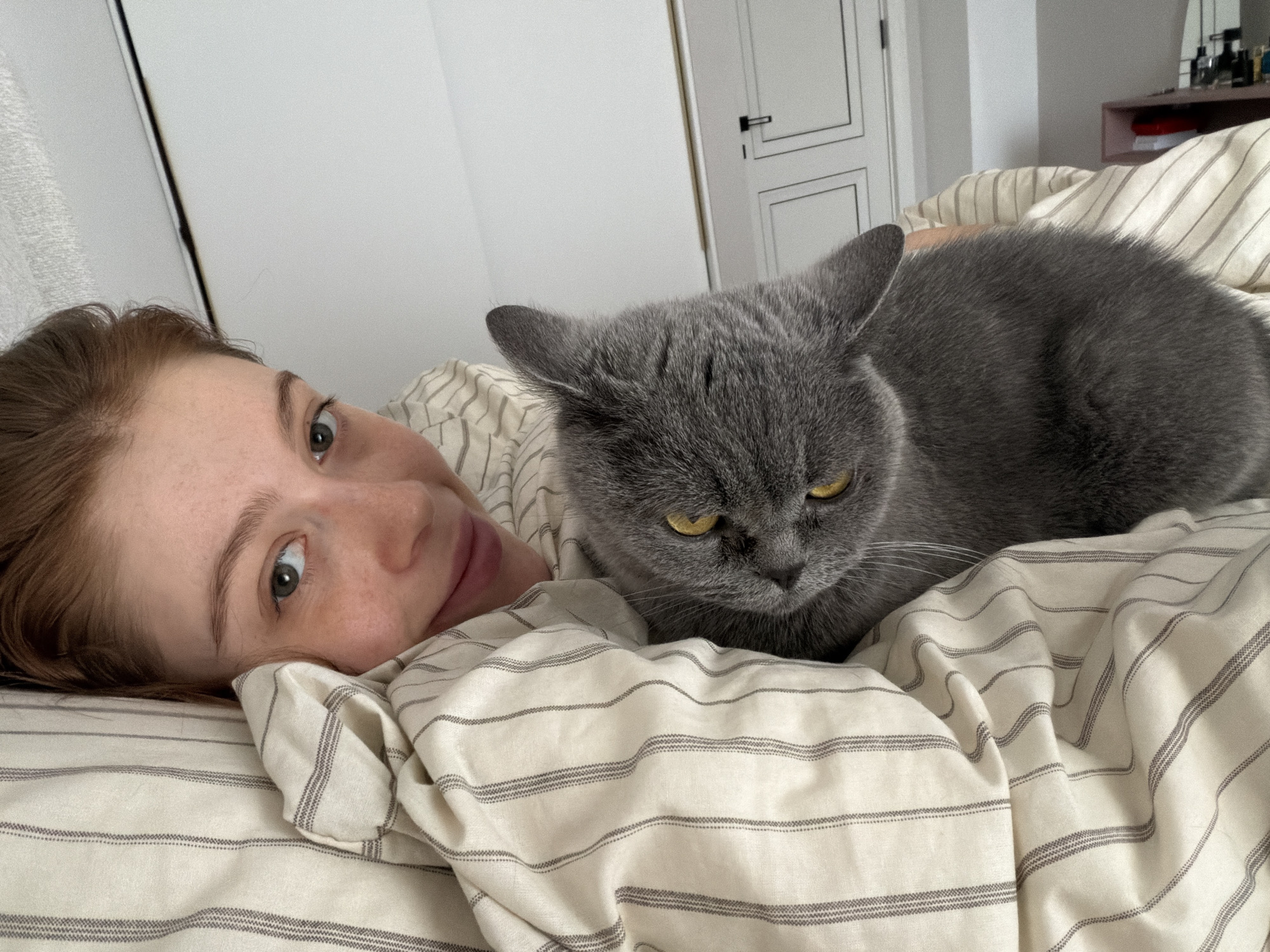 Woman shares quiet morning moment with gray cat in Tbilisi