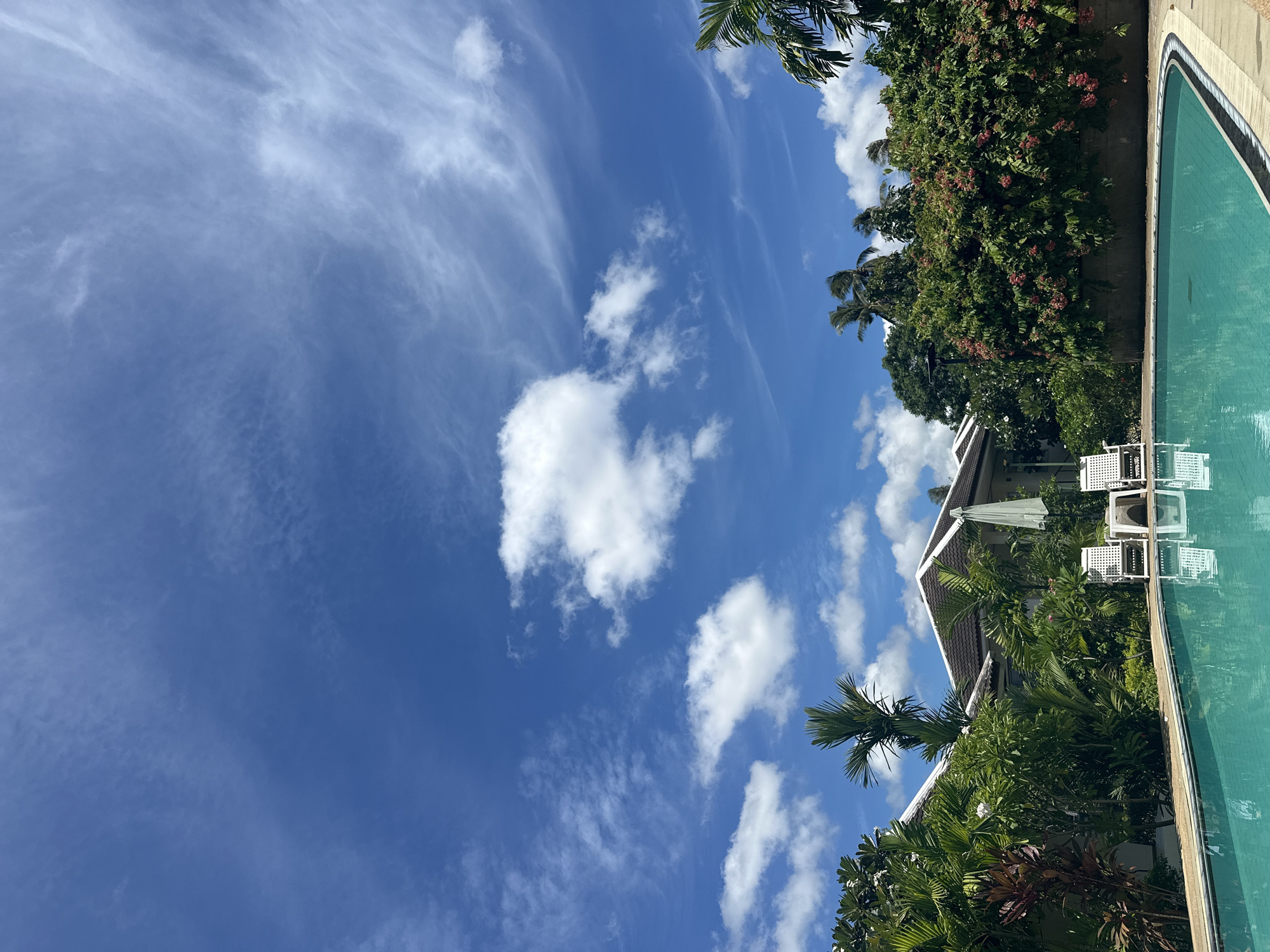 Poolside morning with tropical birds and plants, Koh Samui