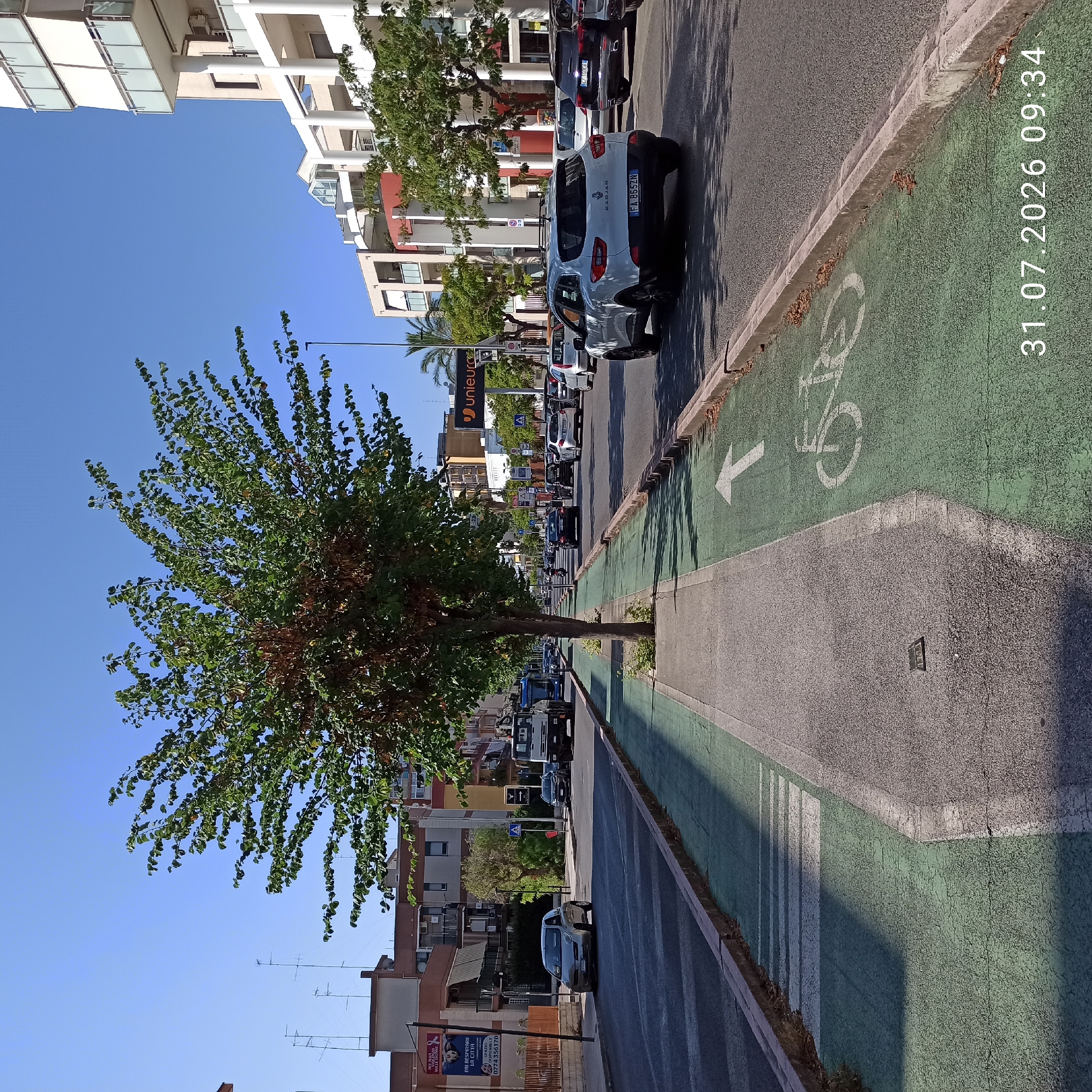 Sunny morning street life along a Modugno bike-lane corridor
