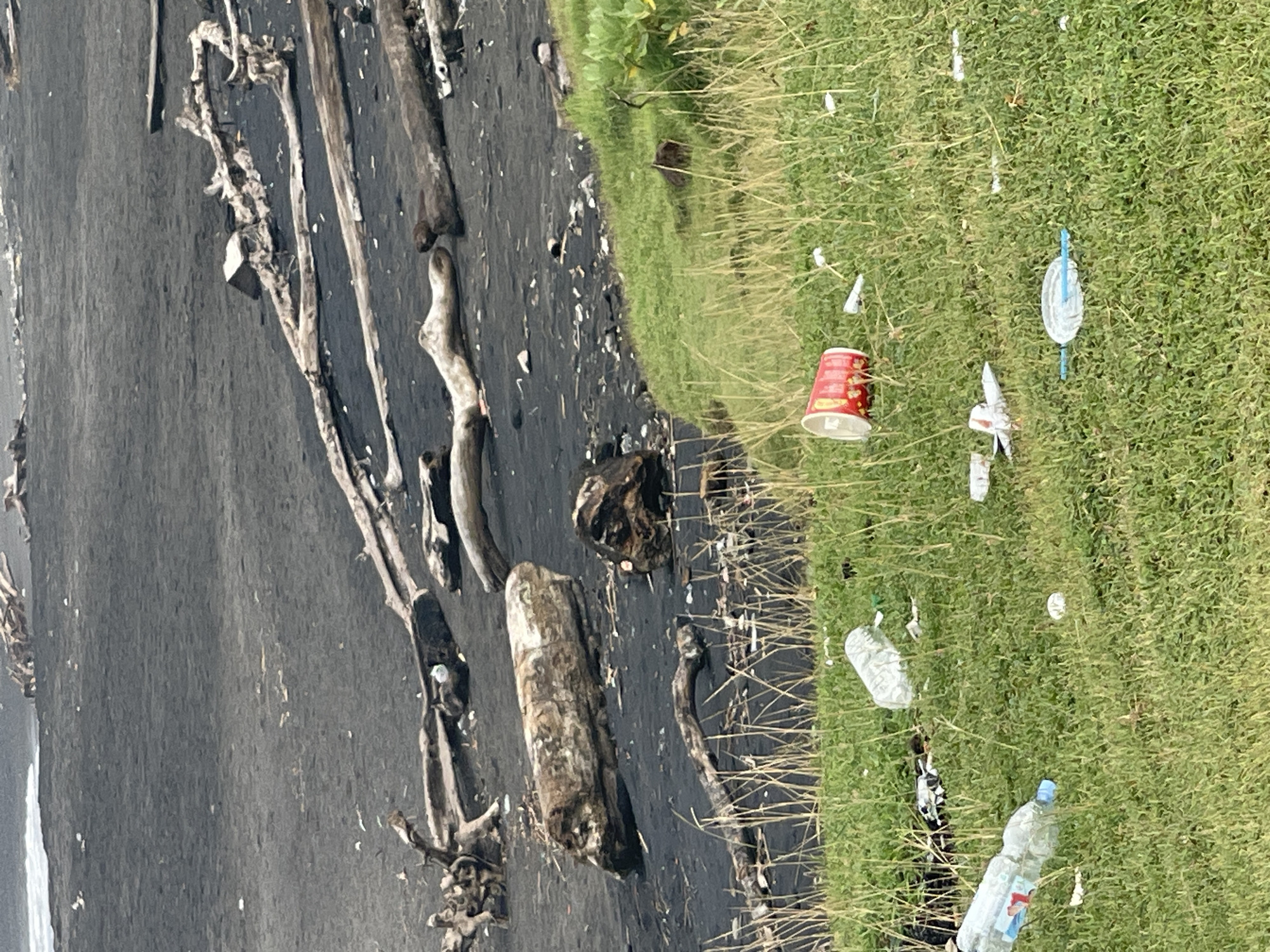 Plastic pollution documented on black sand beach in Mengwi