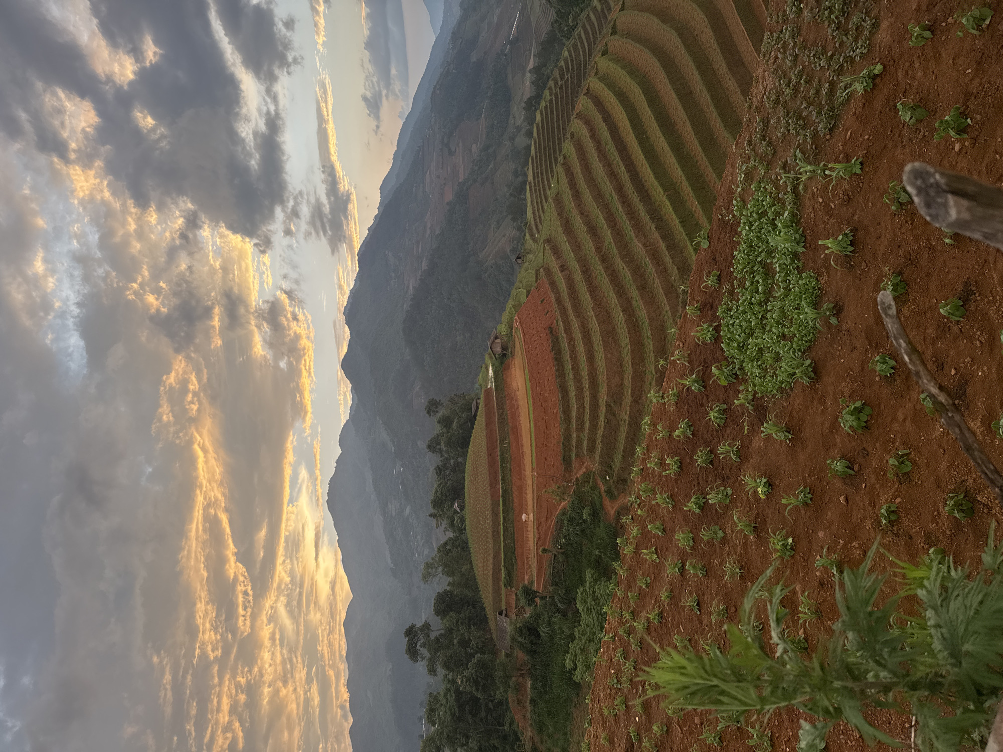 Ford Ranger navigates rural Vietnamese roads near rice terraces