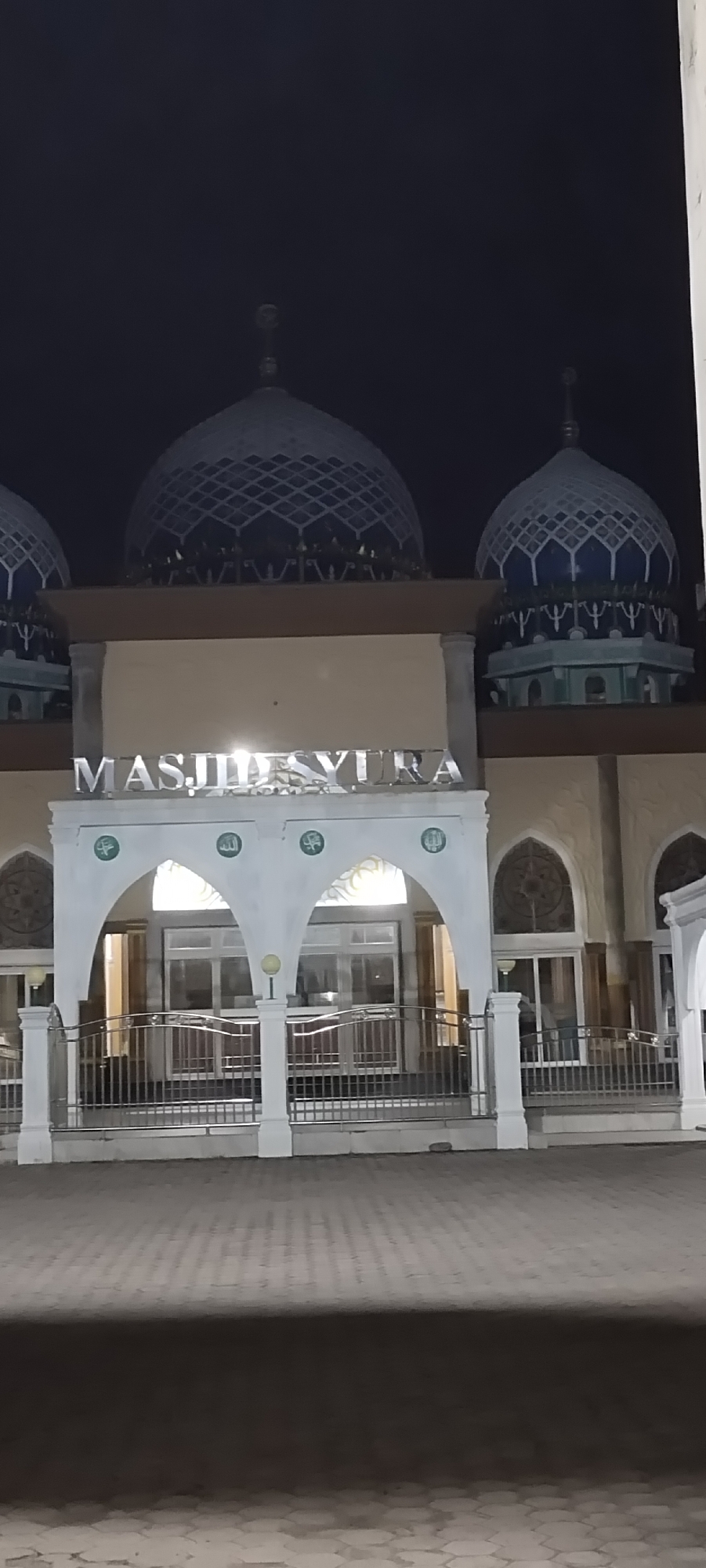 Nighttime scenes documented: mosque, cat, motorcycles near lit building