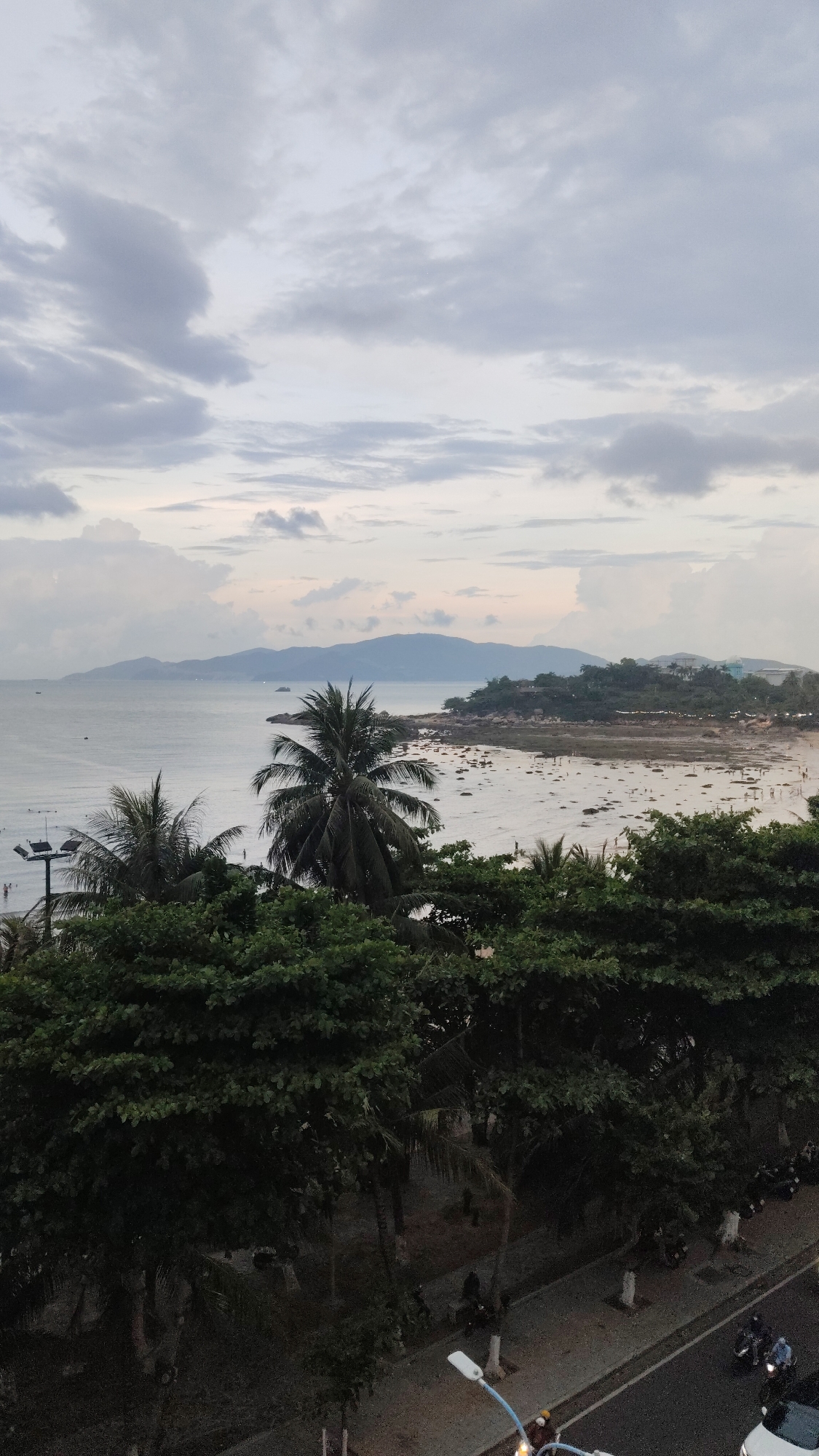 Strong winds sweep Nha Trang coastline as palm trees sway