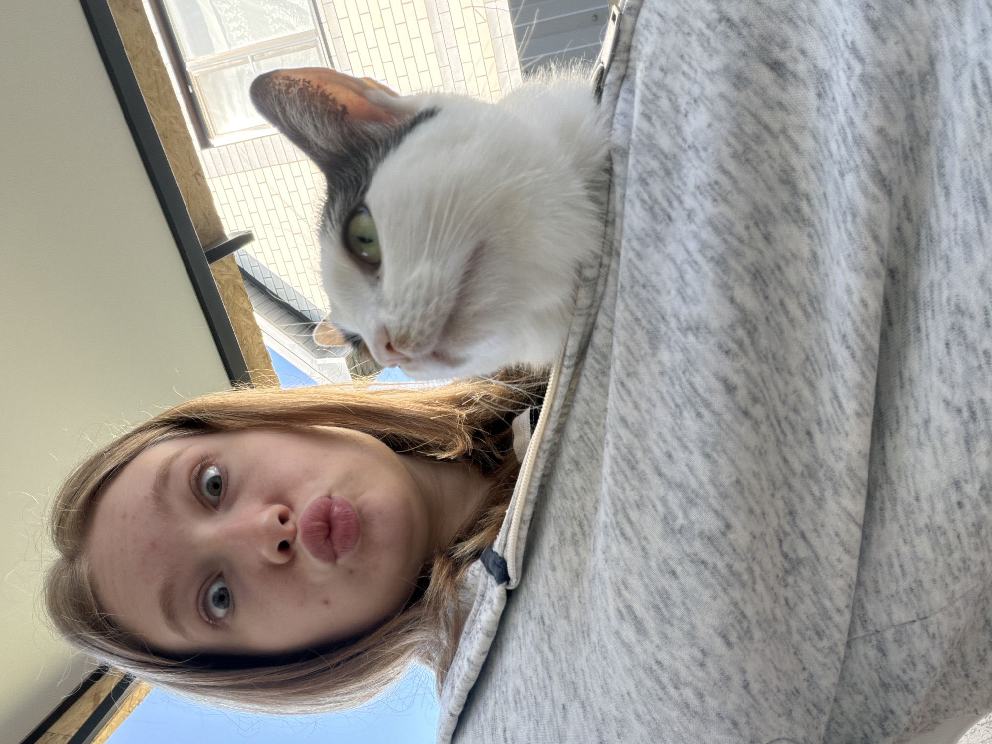 Woman photographs morning moments with cats in Rossiyskiy, Russia
