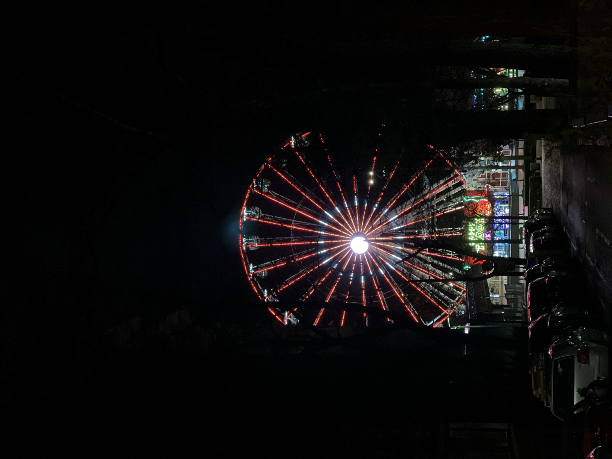 Colorful Ferris wheel lights up Sofia evening sky