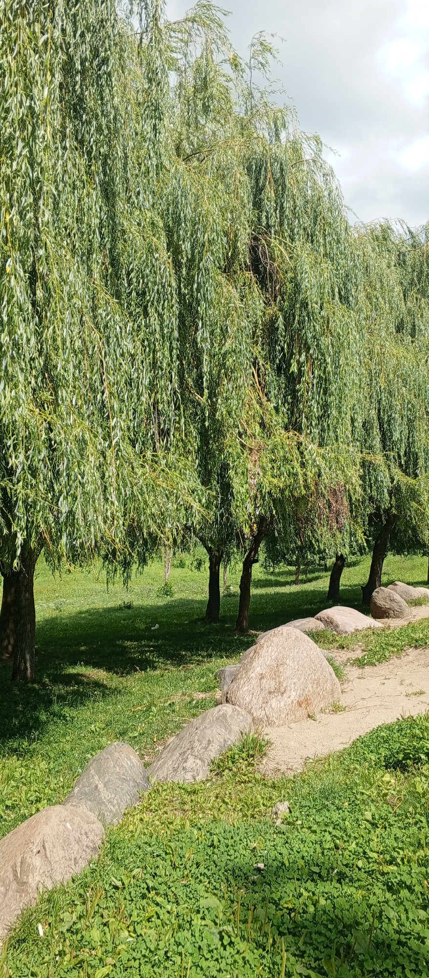 A public park's playground and willow-lined paths on a summer day