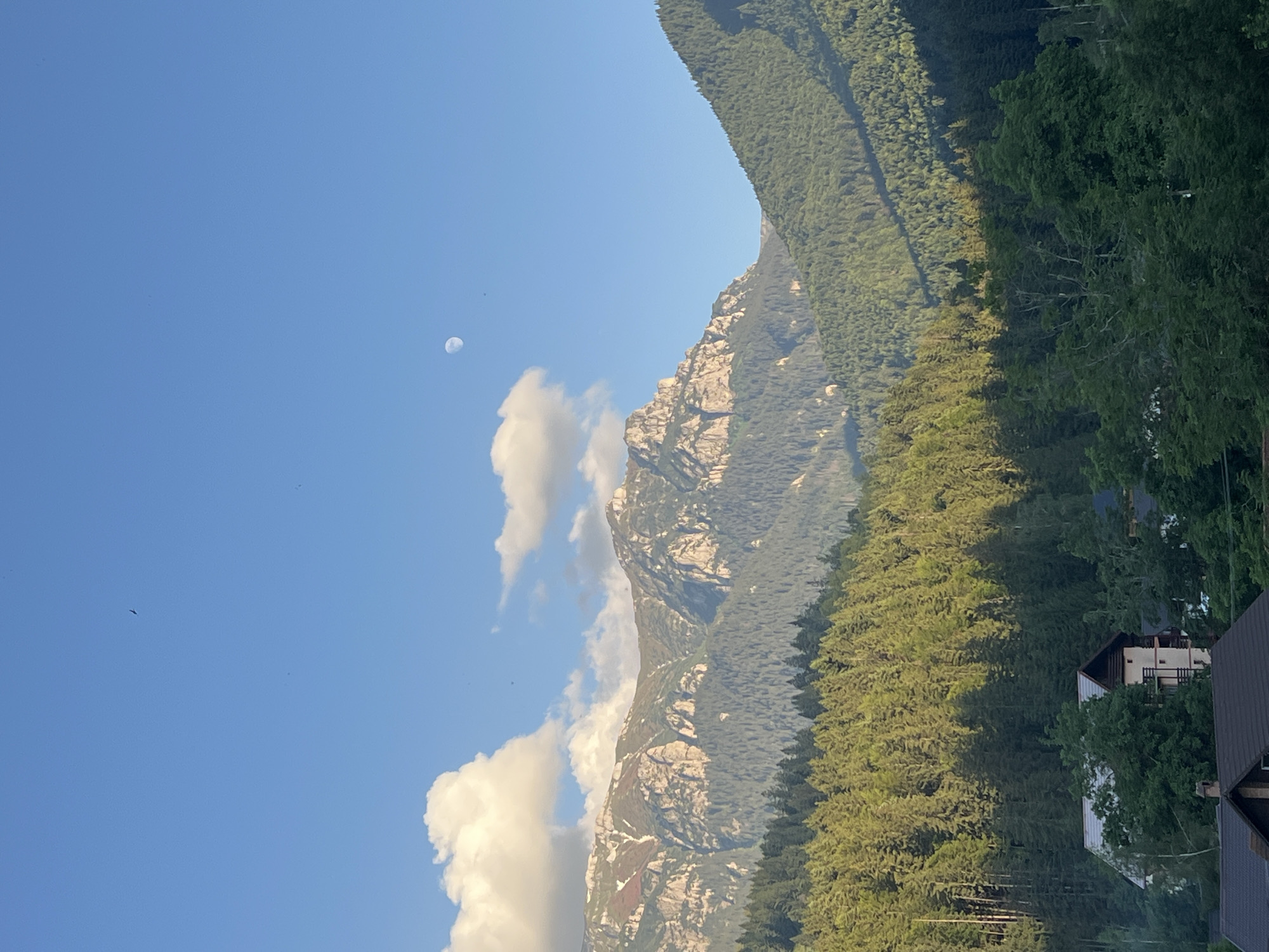 Alpine landscapes and backyard scenes on a summer afternoon