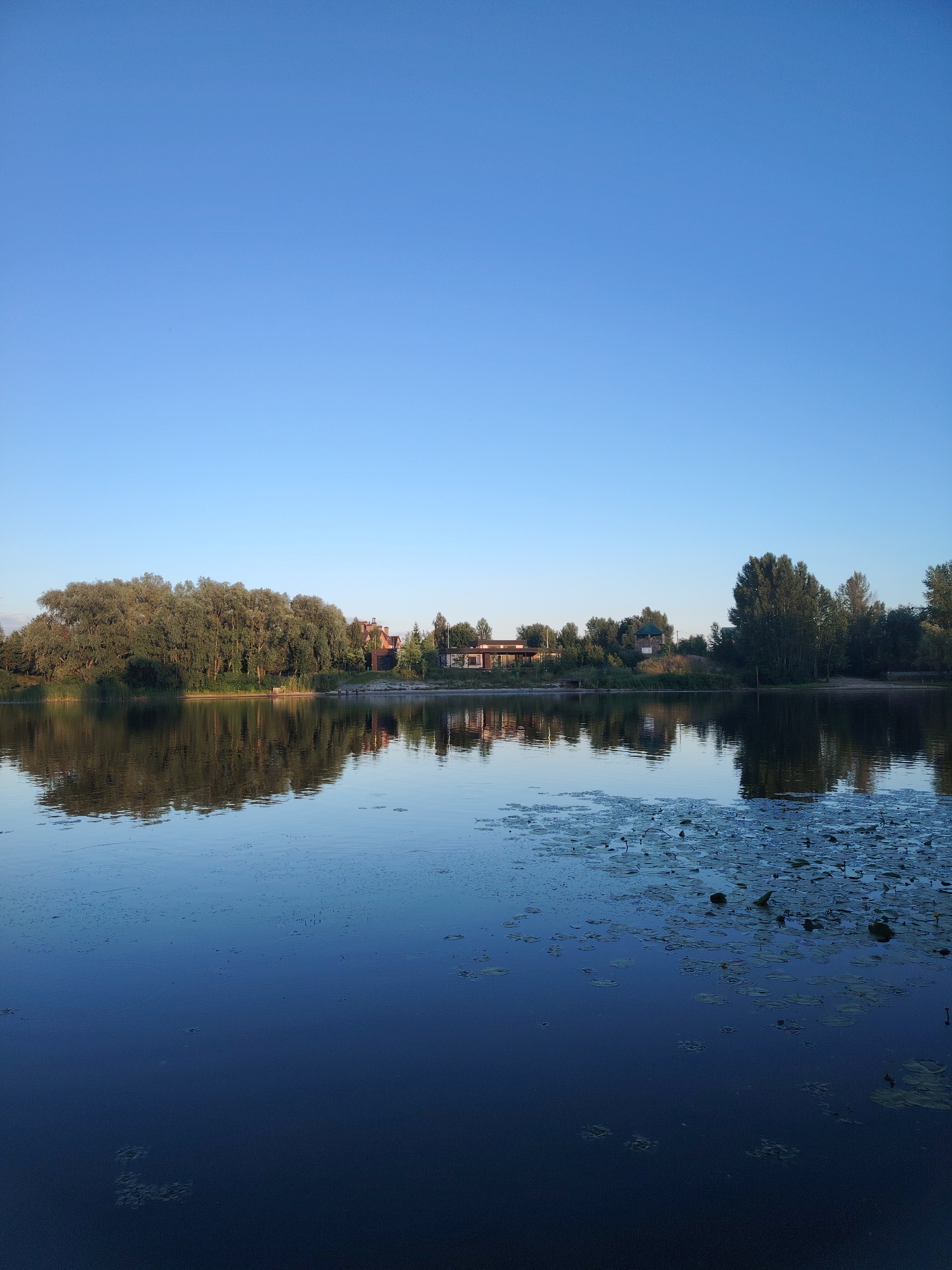 Lazy summer afternoon by the reservoir — nature, caterpillars, casual shooting