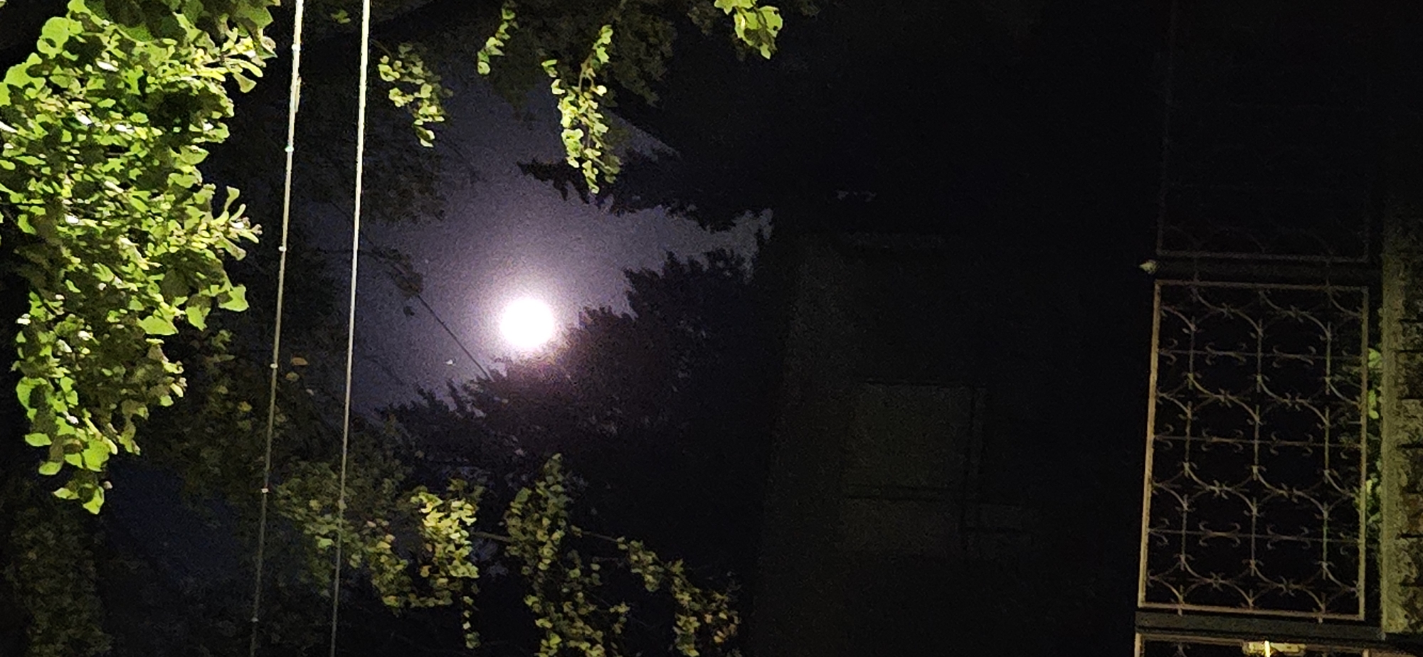 Full moon night in Hévíz, a lone bus passing through quiet streets