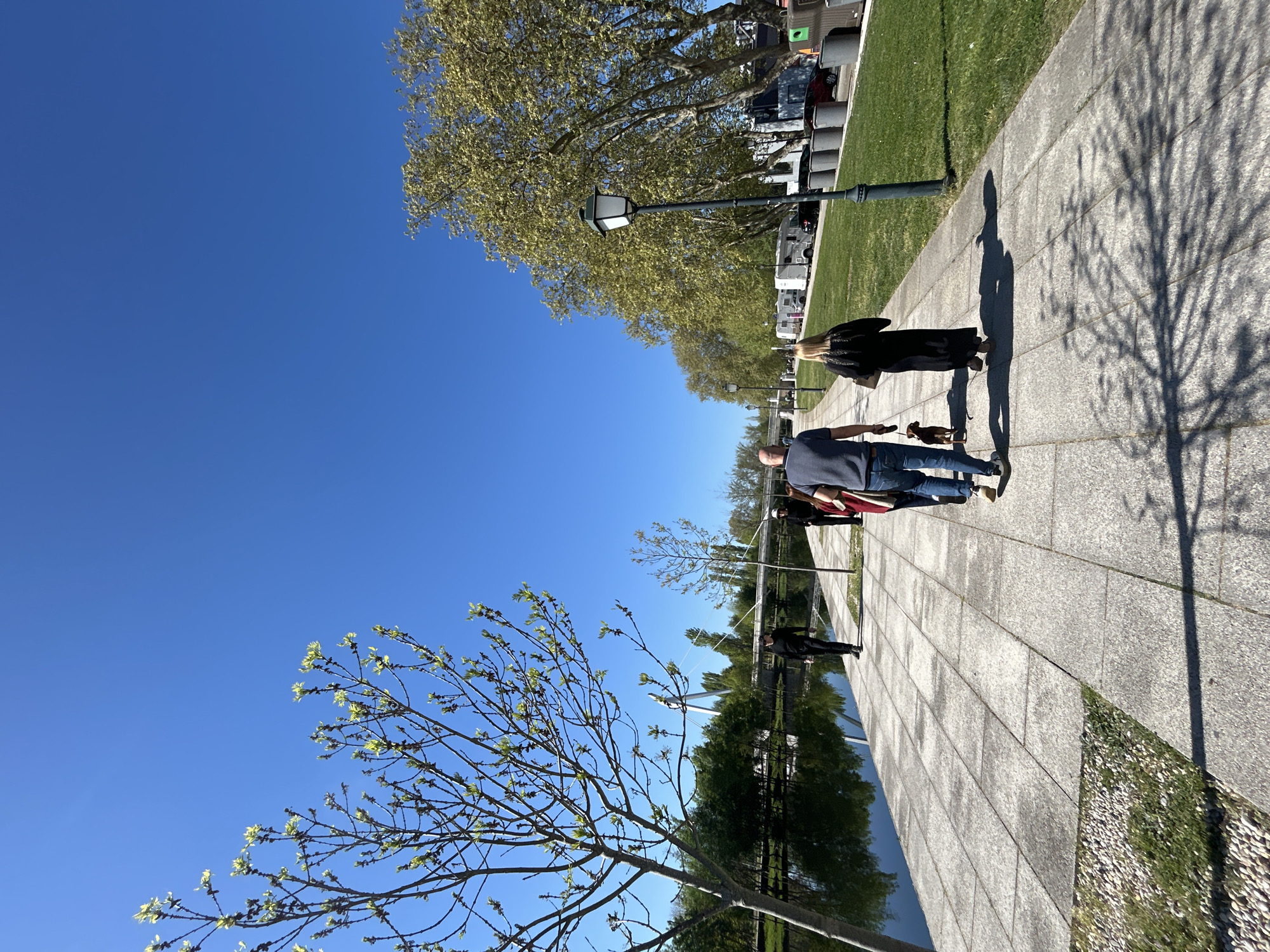 Morning dog walk observed along waterfront sidewalk in Chaves