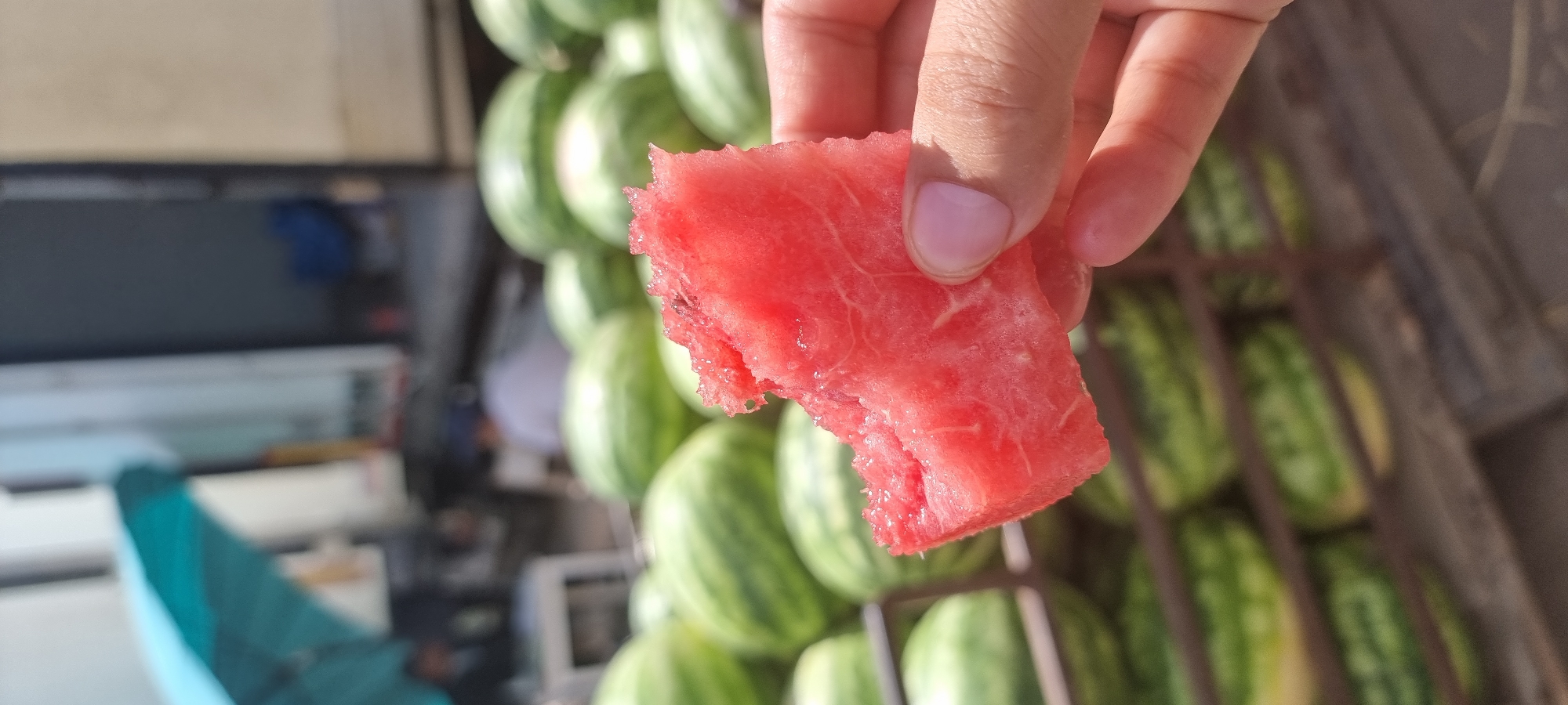 Watermelon market in full swing, Aktobe, Kazakhstan