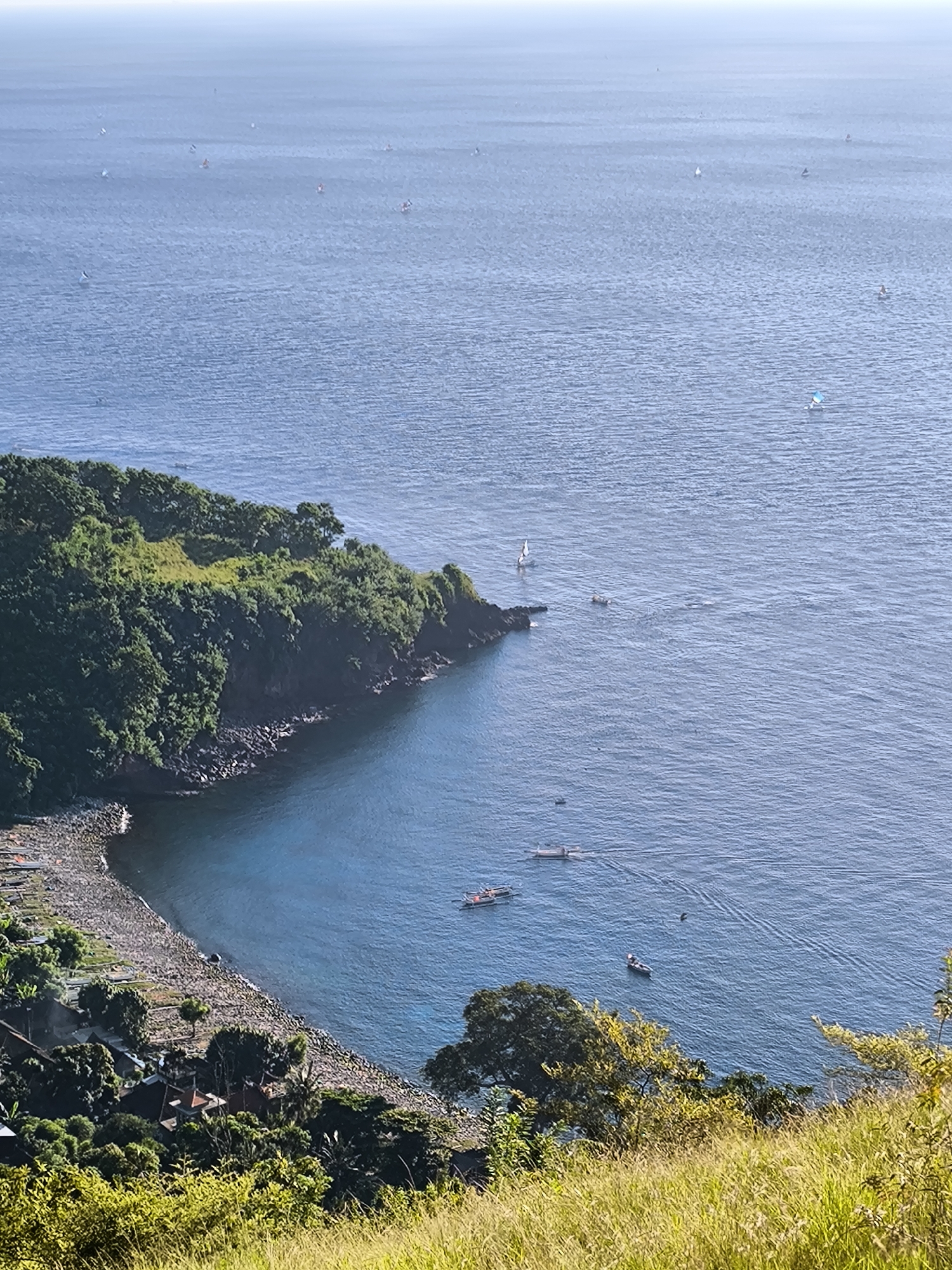 Indonesian coastal village observed with colorful sailboats in cove
