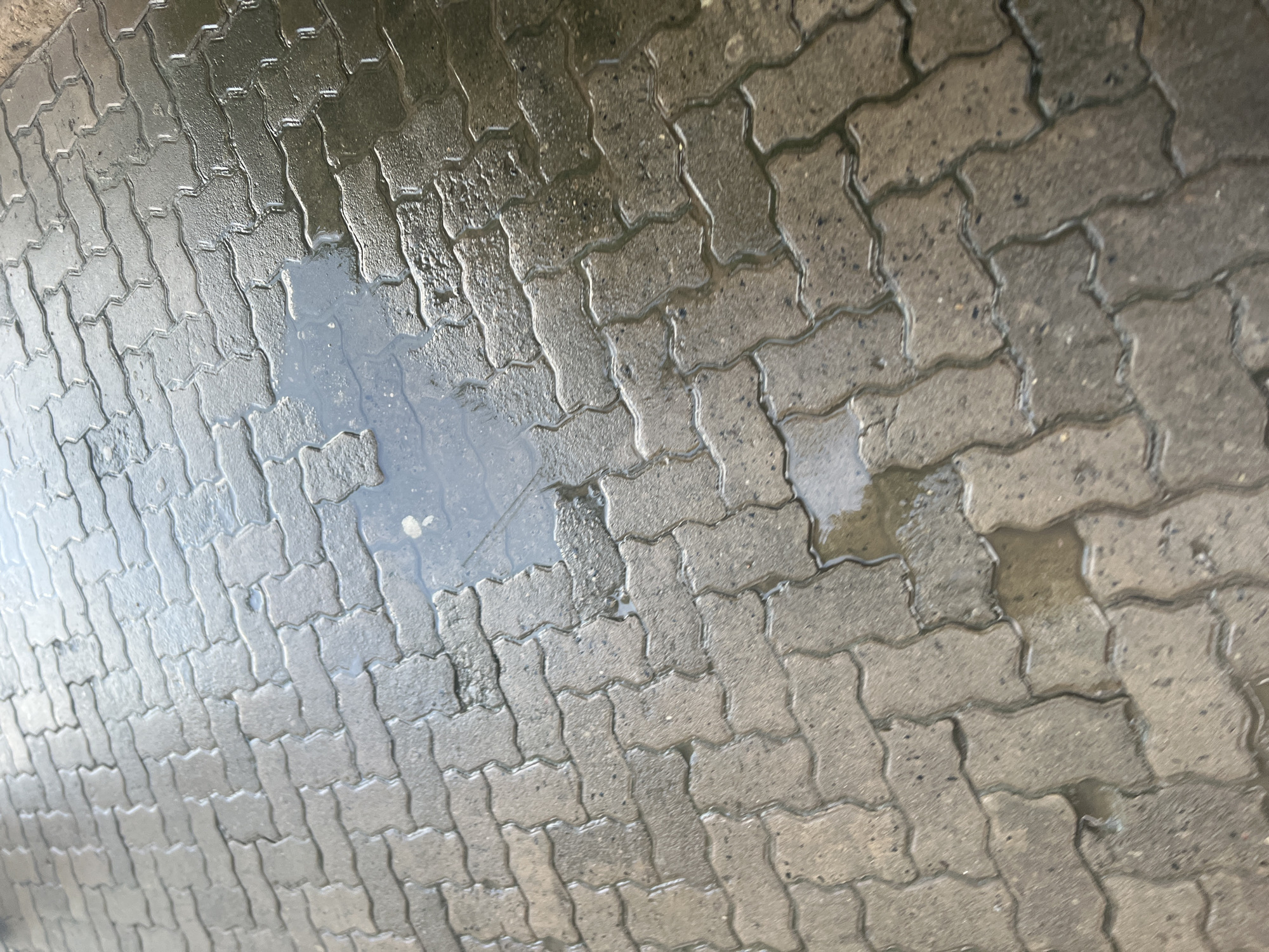Wet pavement blocks observed after rain in Dar es Salaam