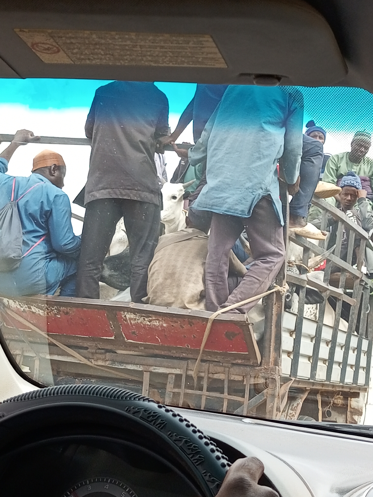 Street life, school kids, cattle, and local architecture in one afternoon