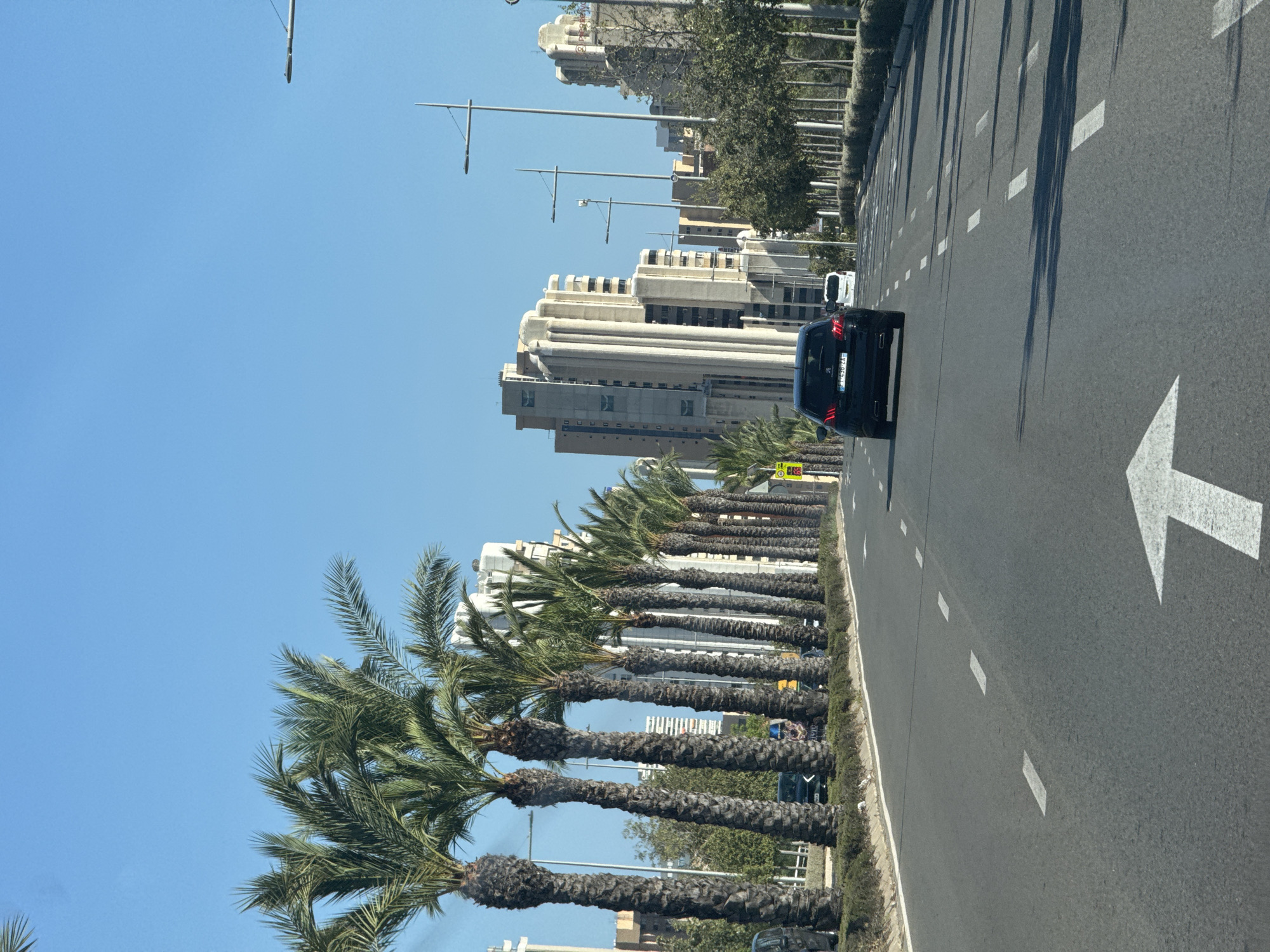 Benidorm's palm-lined boulevard on a sunny afternoon