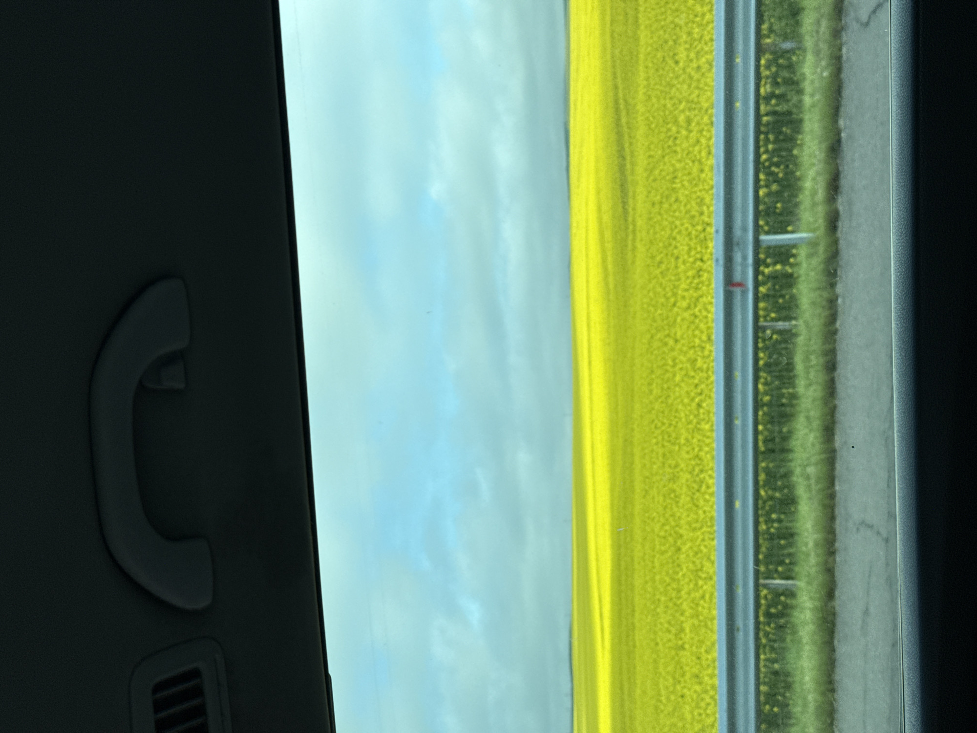 Car interior view captured from rear passenger window in Bulgaria